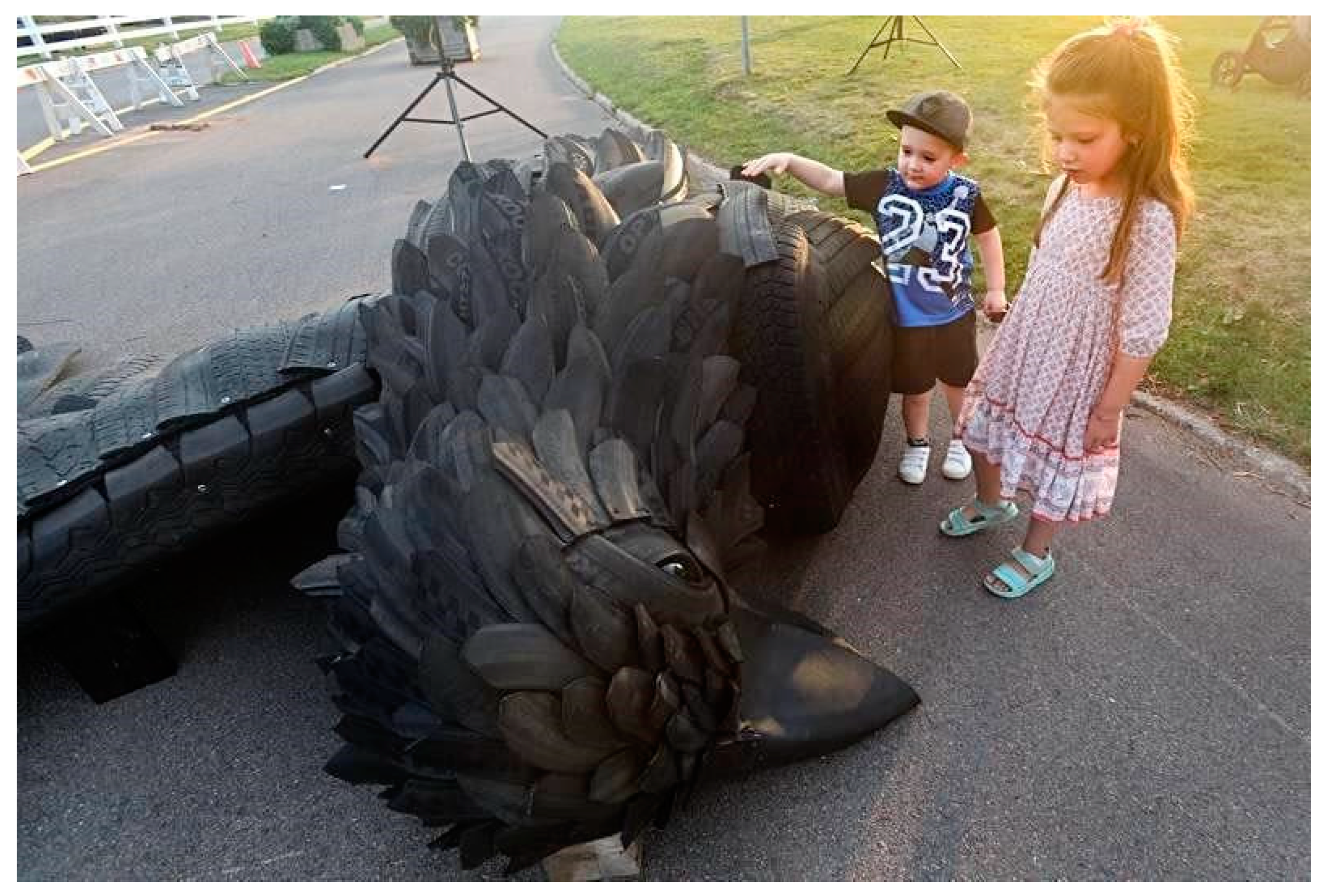 Sustainability 13 03747 g006