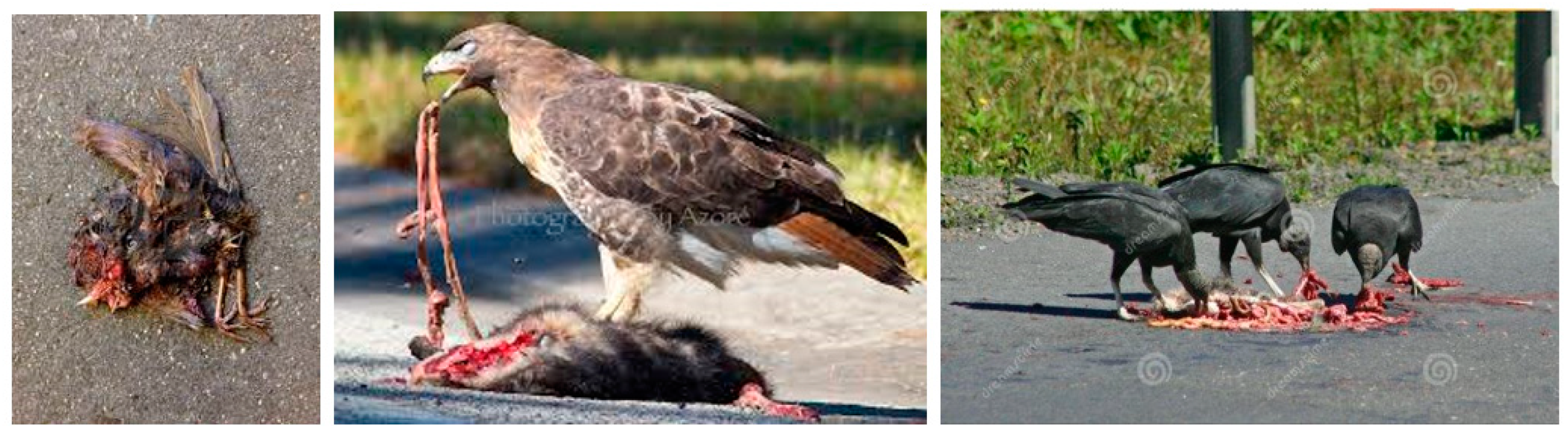 Sustainability 13 03747 g007