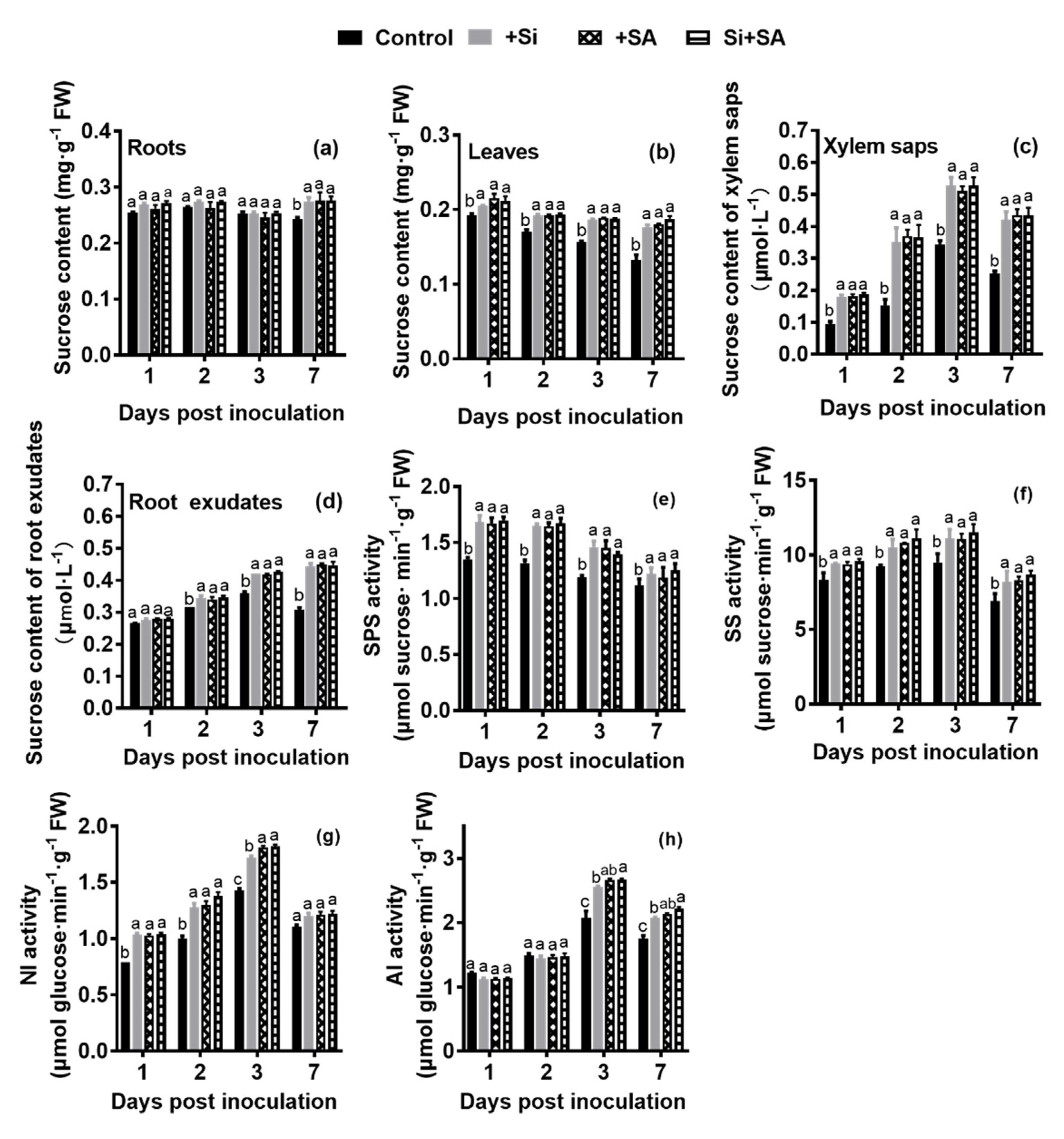 Sustainability 13 03750 g003