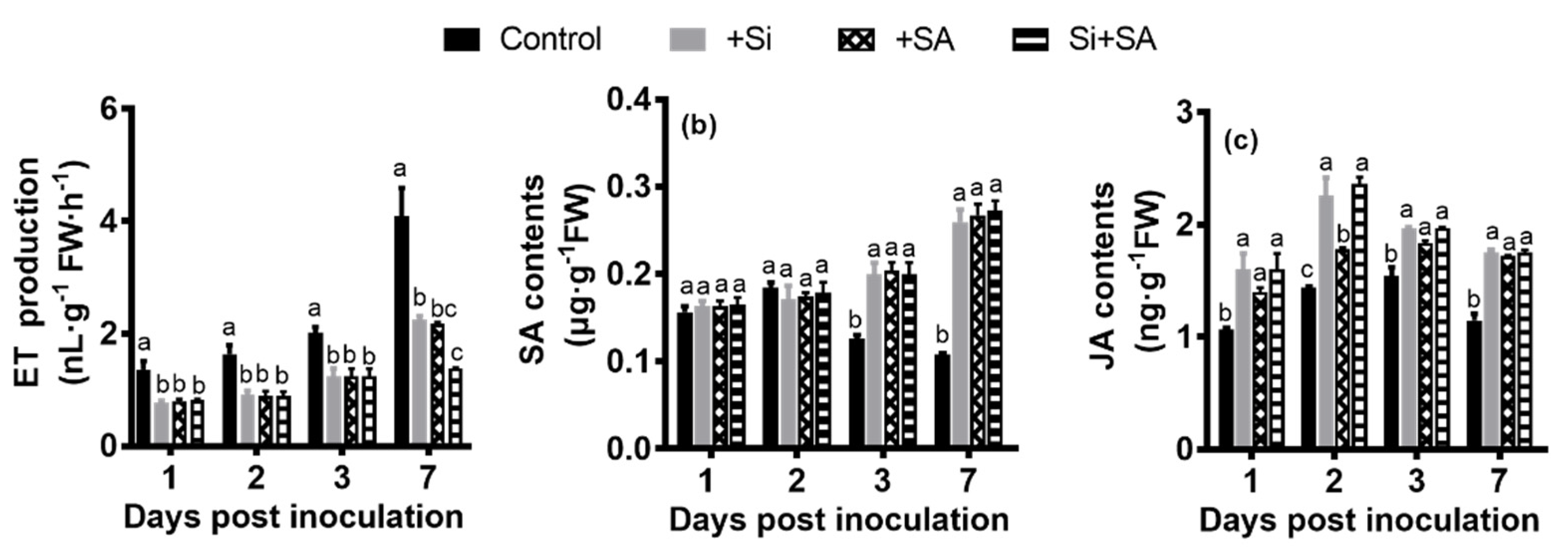 Sustainability 13 03750 g005
