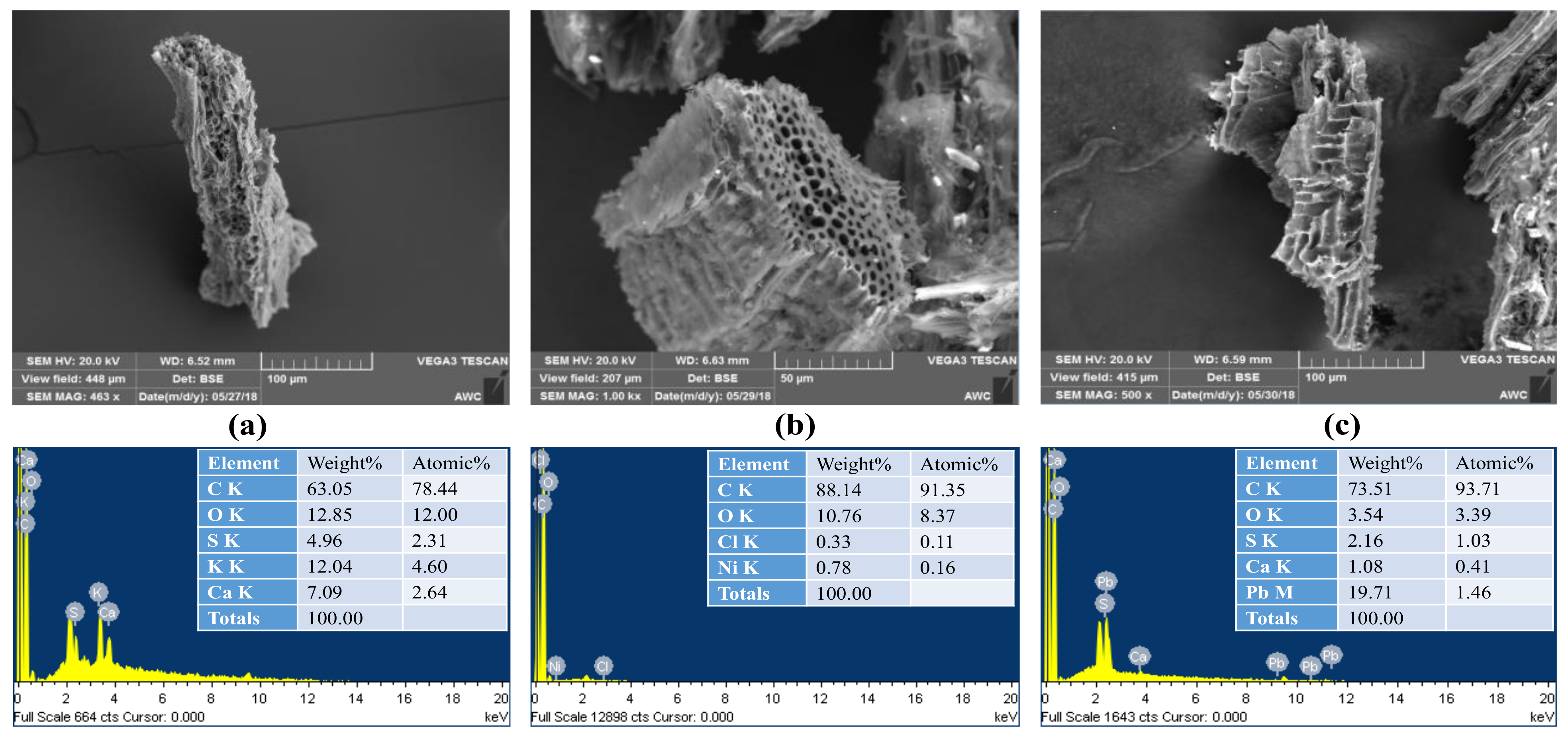 Sustainability 13 03785 g001