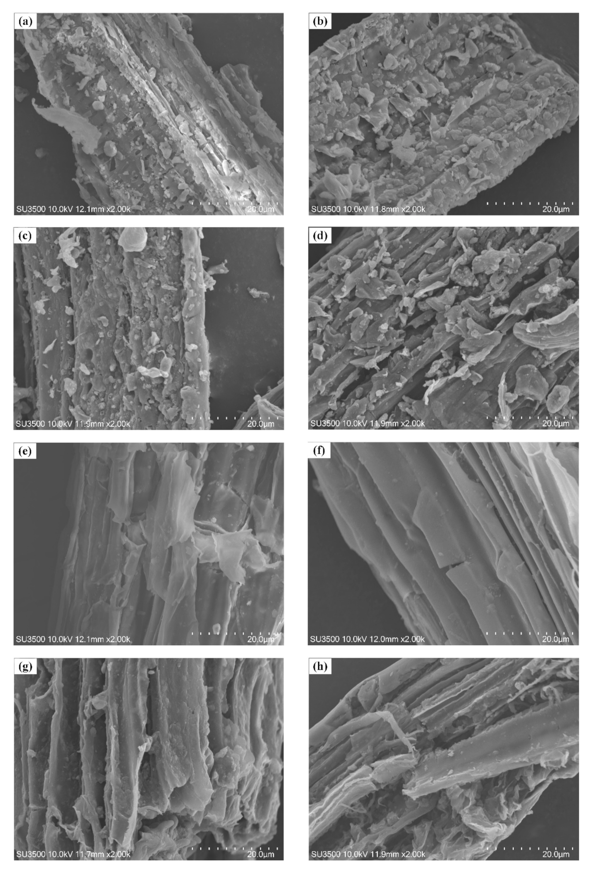 Sustainability 13 03786 g004
