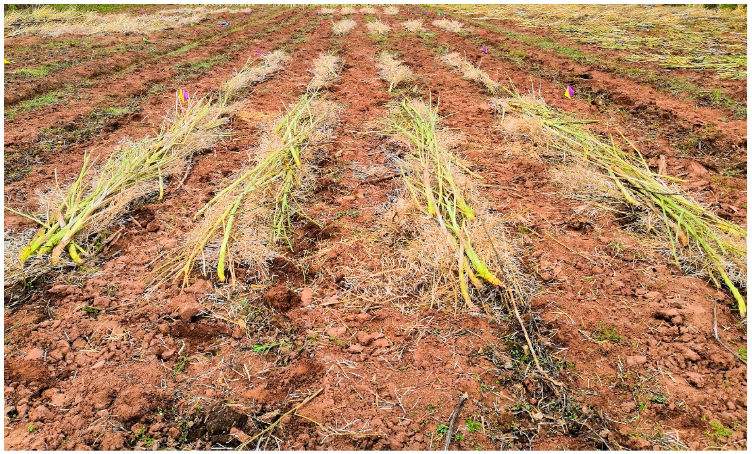 Sustainability 13 03799 g002