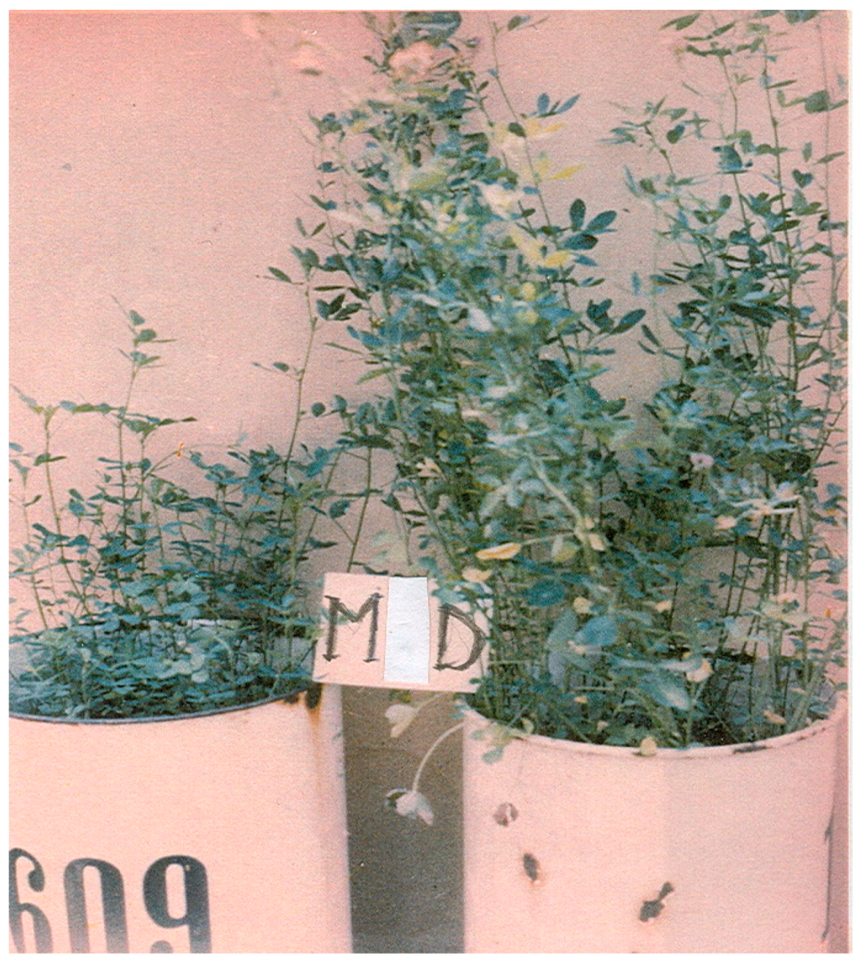 Sustainability 13 03800 g004 Sustainability 13 03800 g004