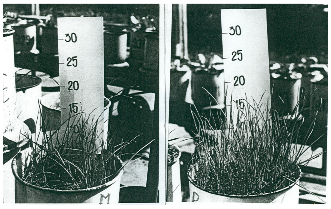 Sustainability 13 03800 g005 Sustainability 13 03800 g005