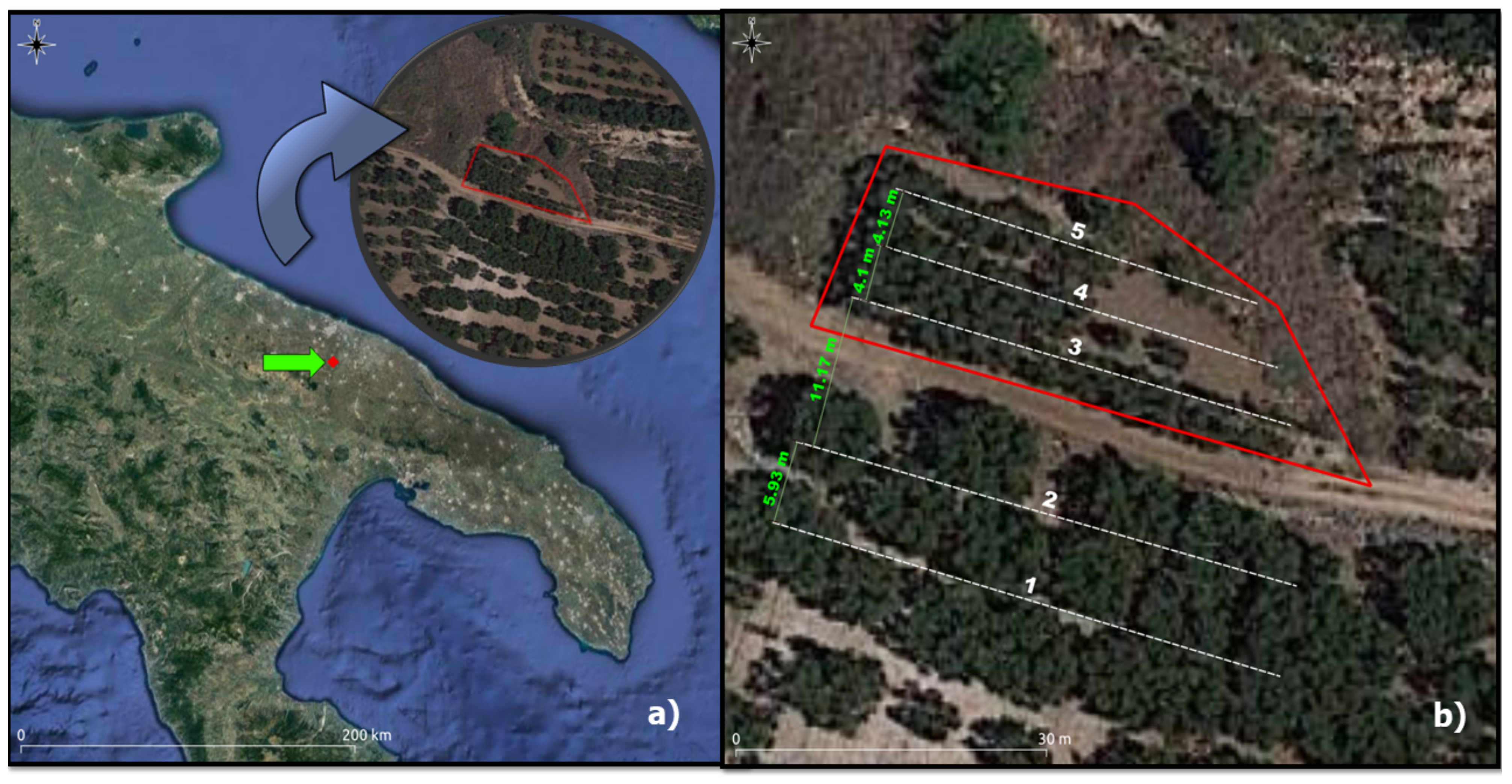 Sustainability 13 03805 g003