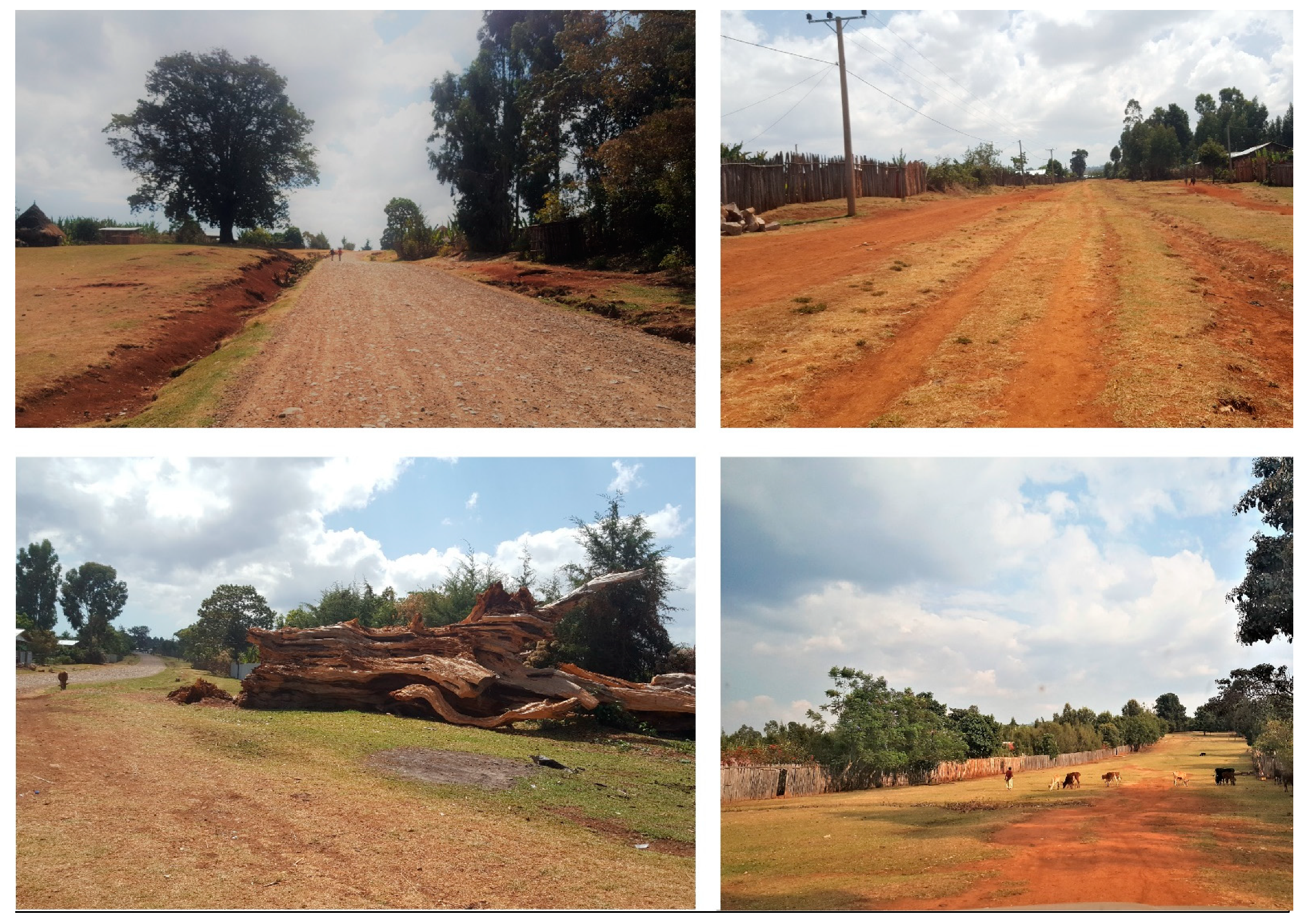 Sustainability 13 03806 g004