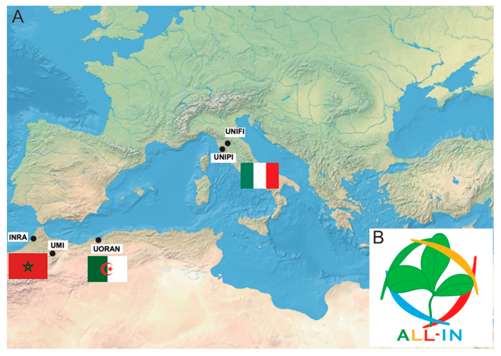 Sustainability 13 03880 g001