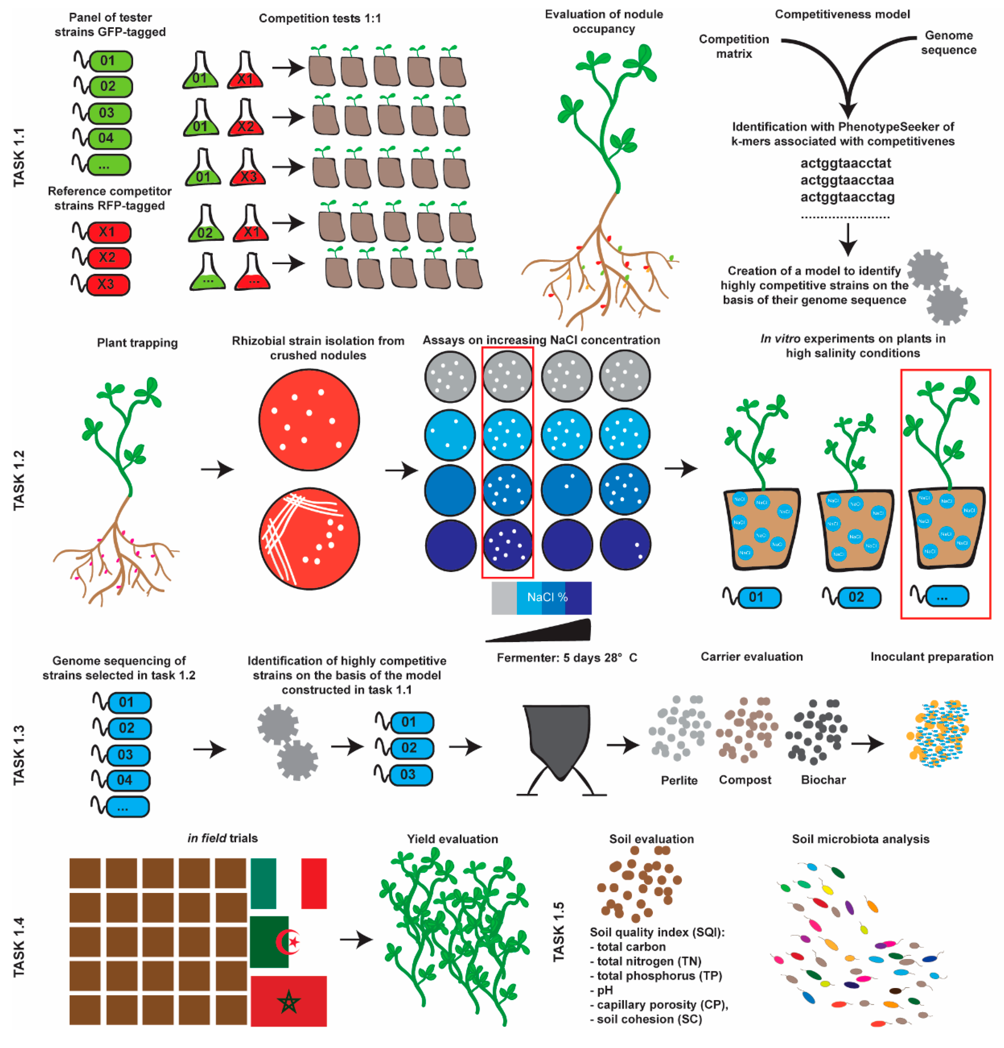 Sustainability 13 03880 g003