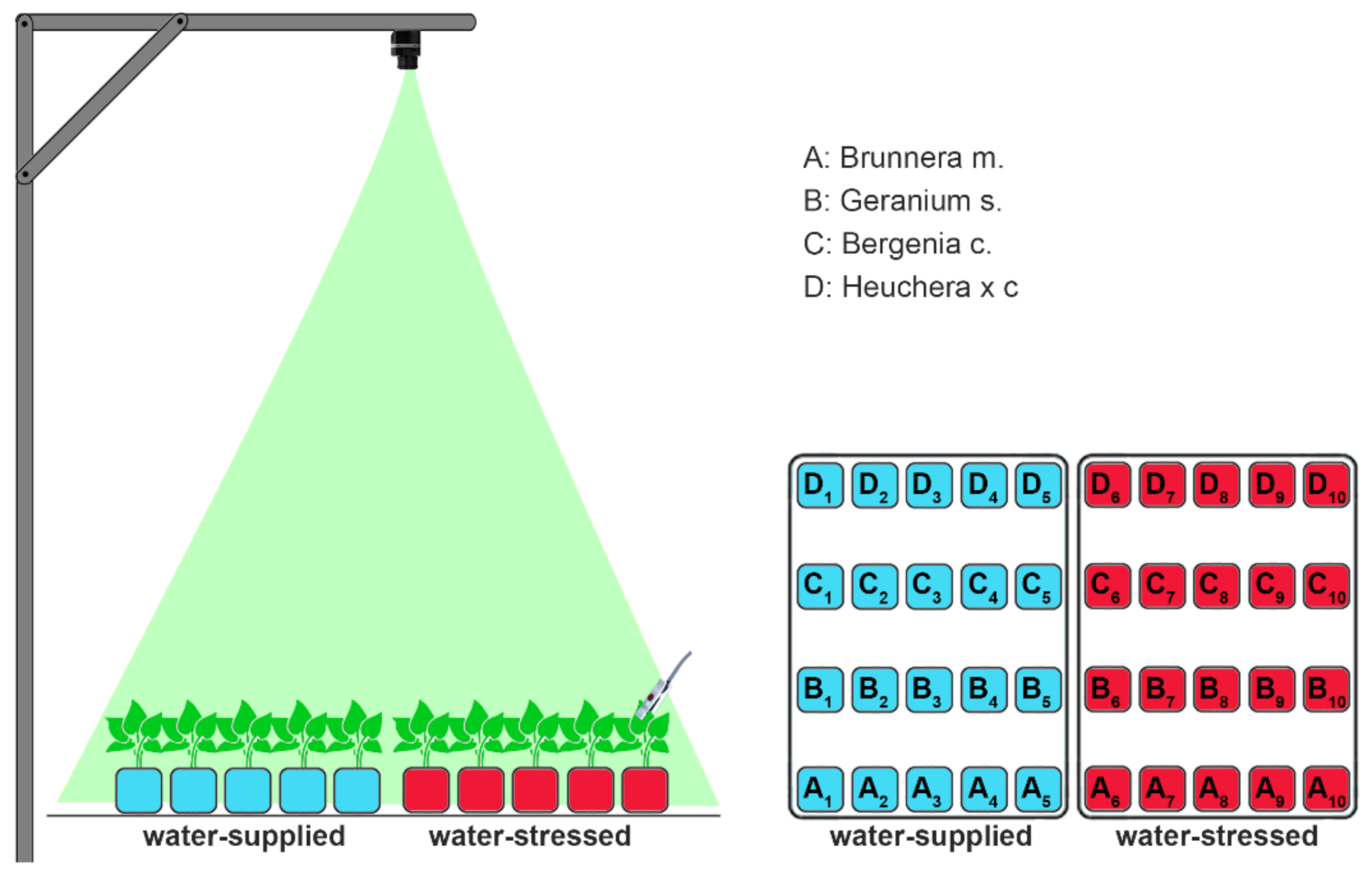 Sustainability 13 03910 g001