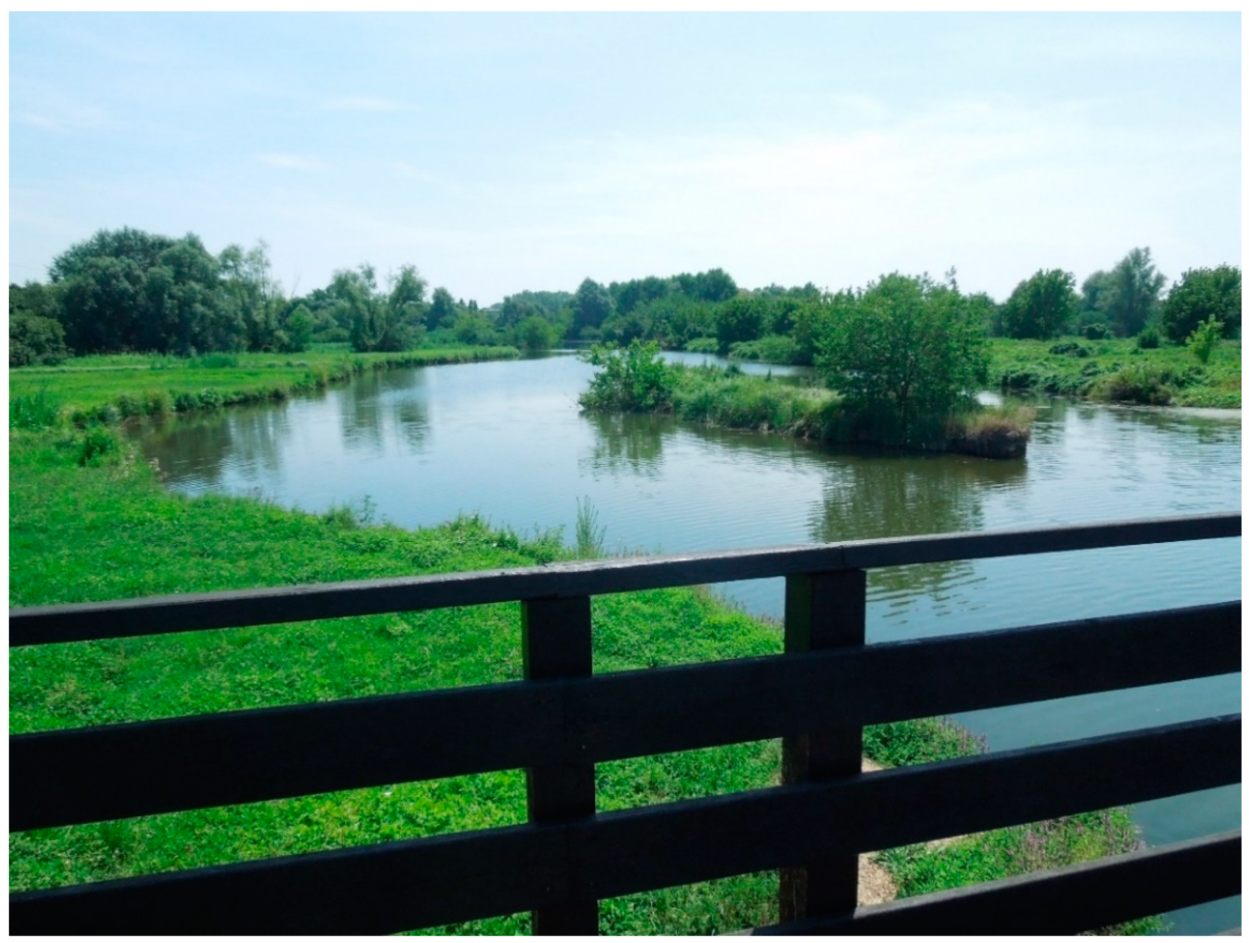 Sustainability 13 03914 g005