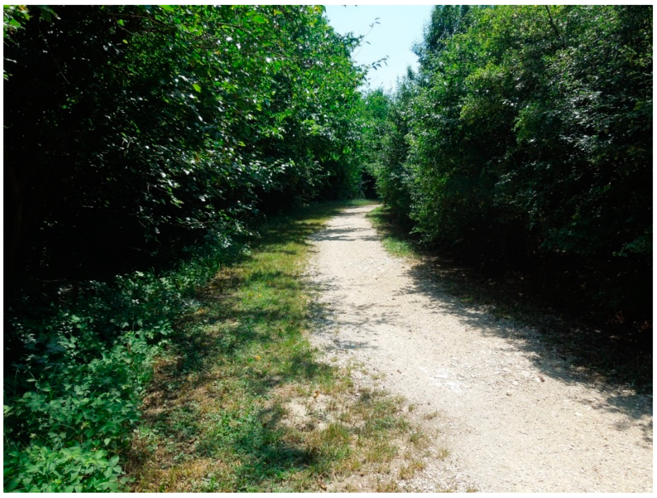 Sustainability 13 03914 g007