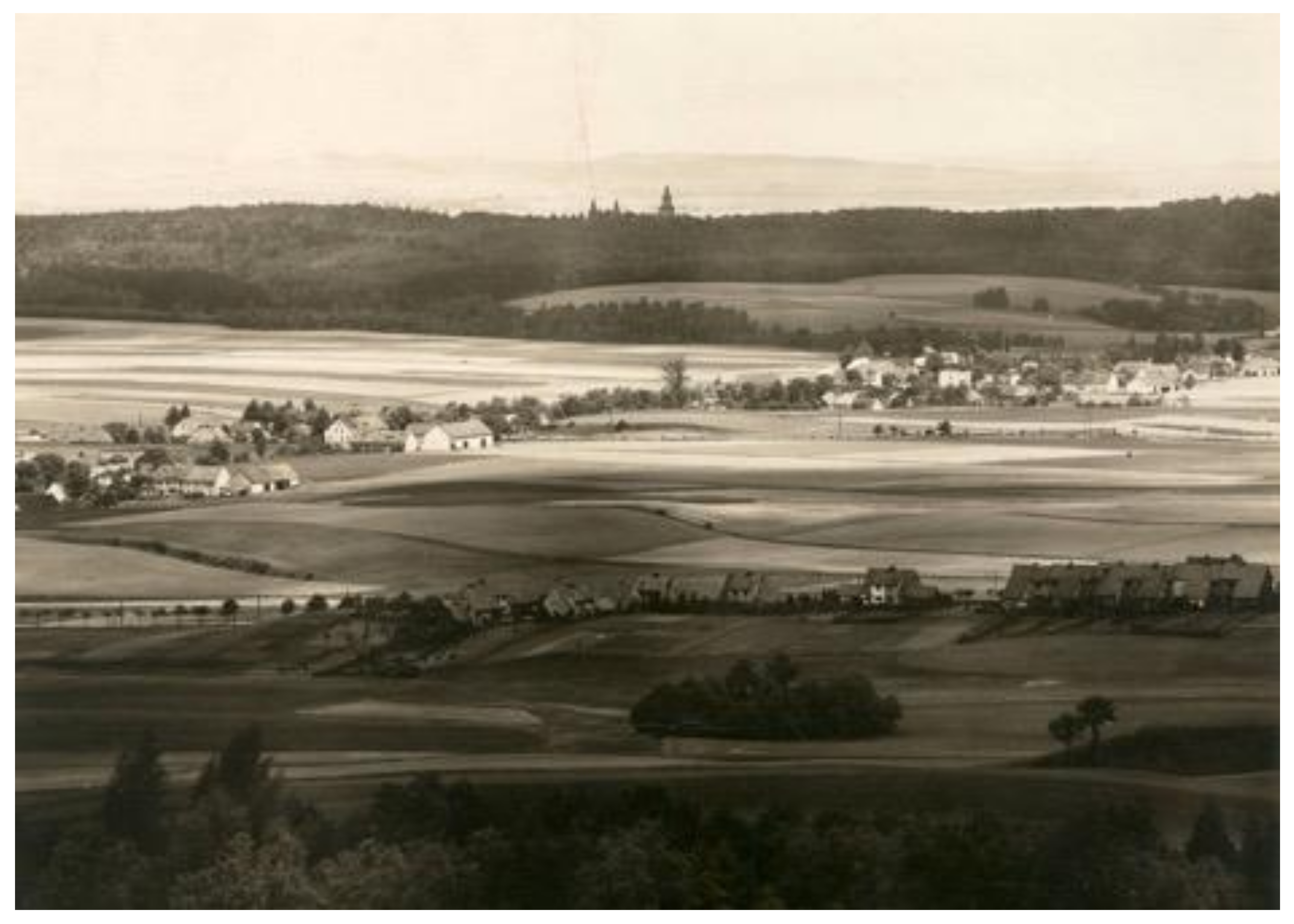 Sustainability 13 03921 g008