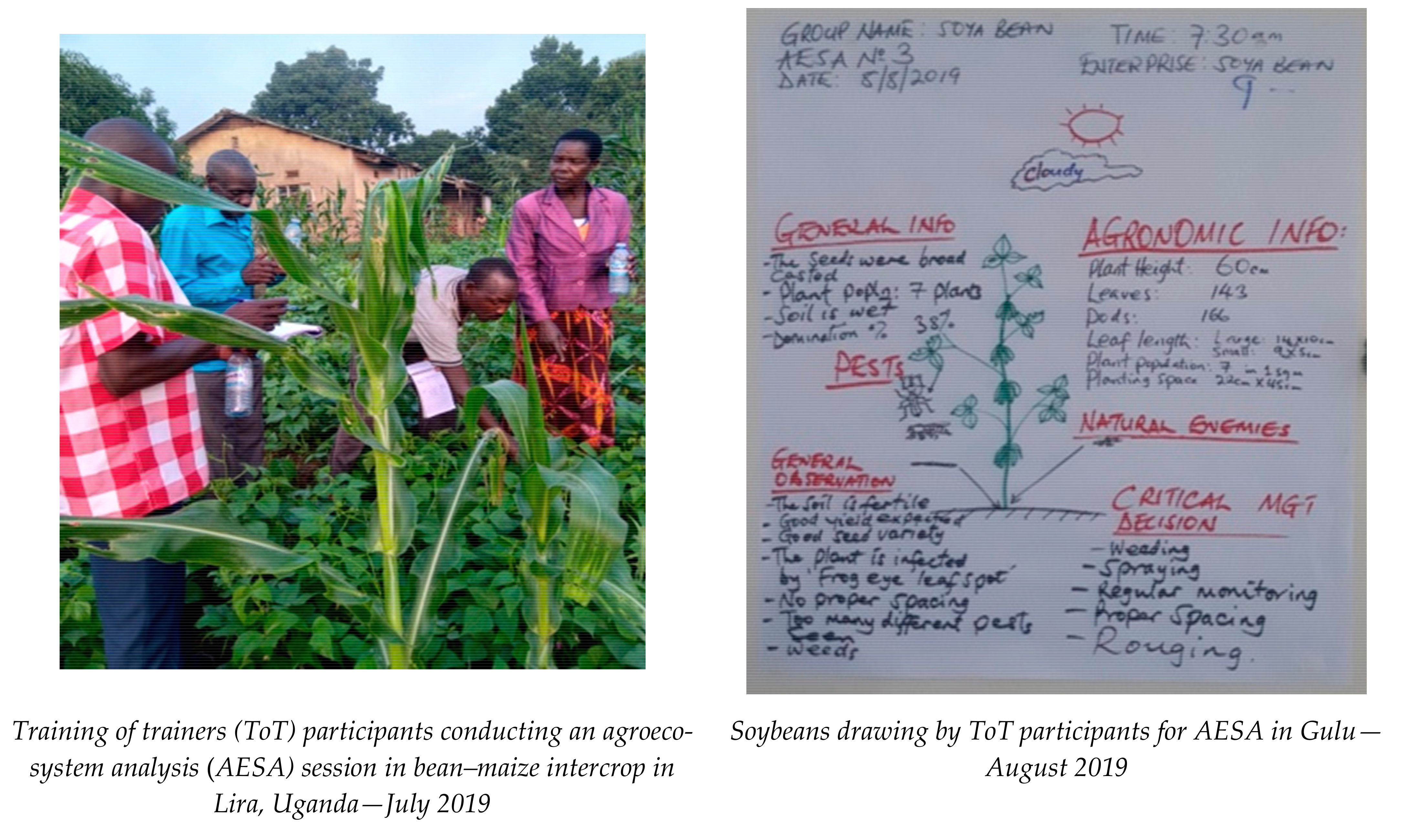 Sustainability 13 03938 g002