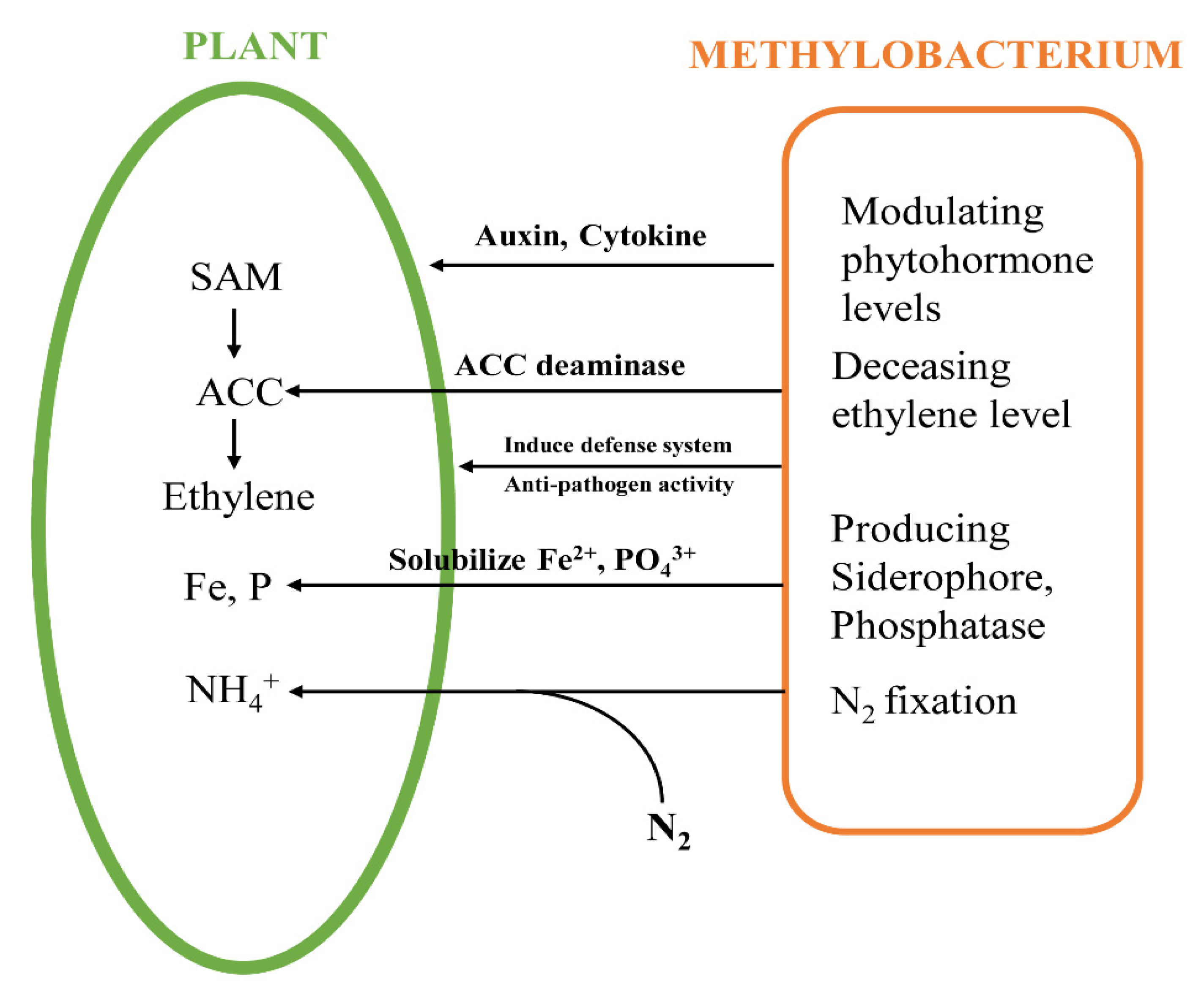 Sustainability 13 03941 g002