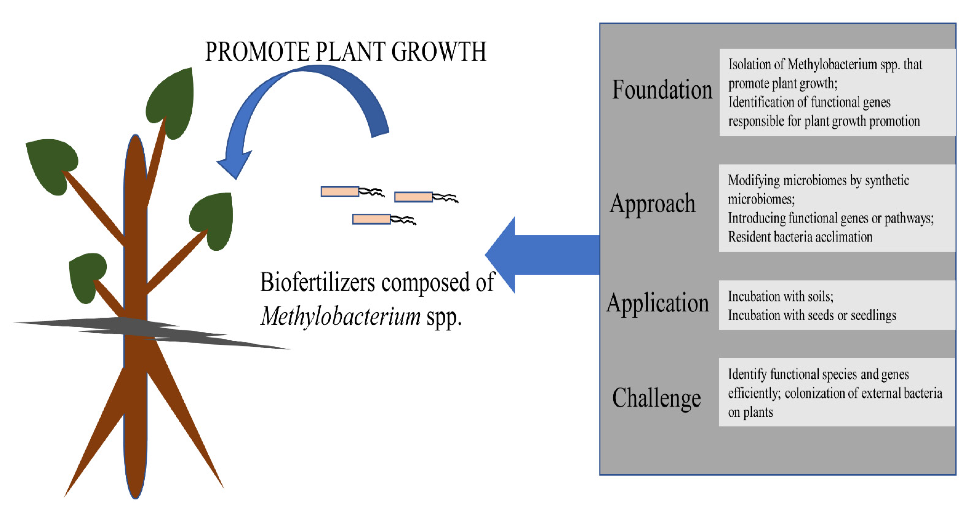 Sustainability 13 03941 g003