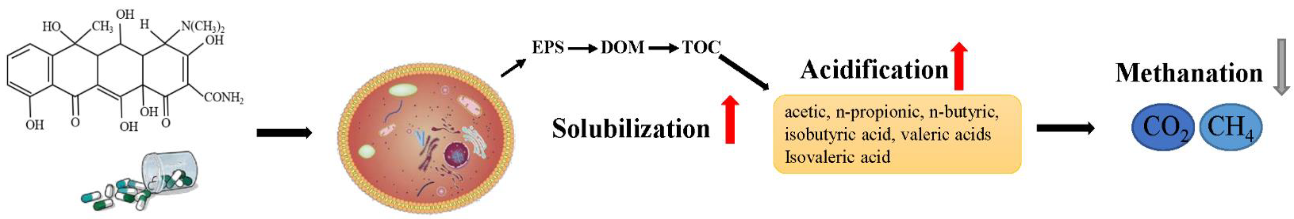 Sustainability 13 04014 g006