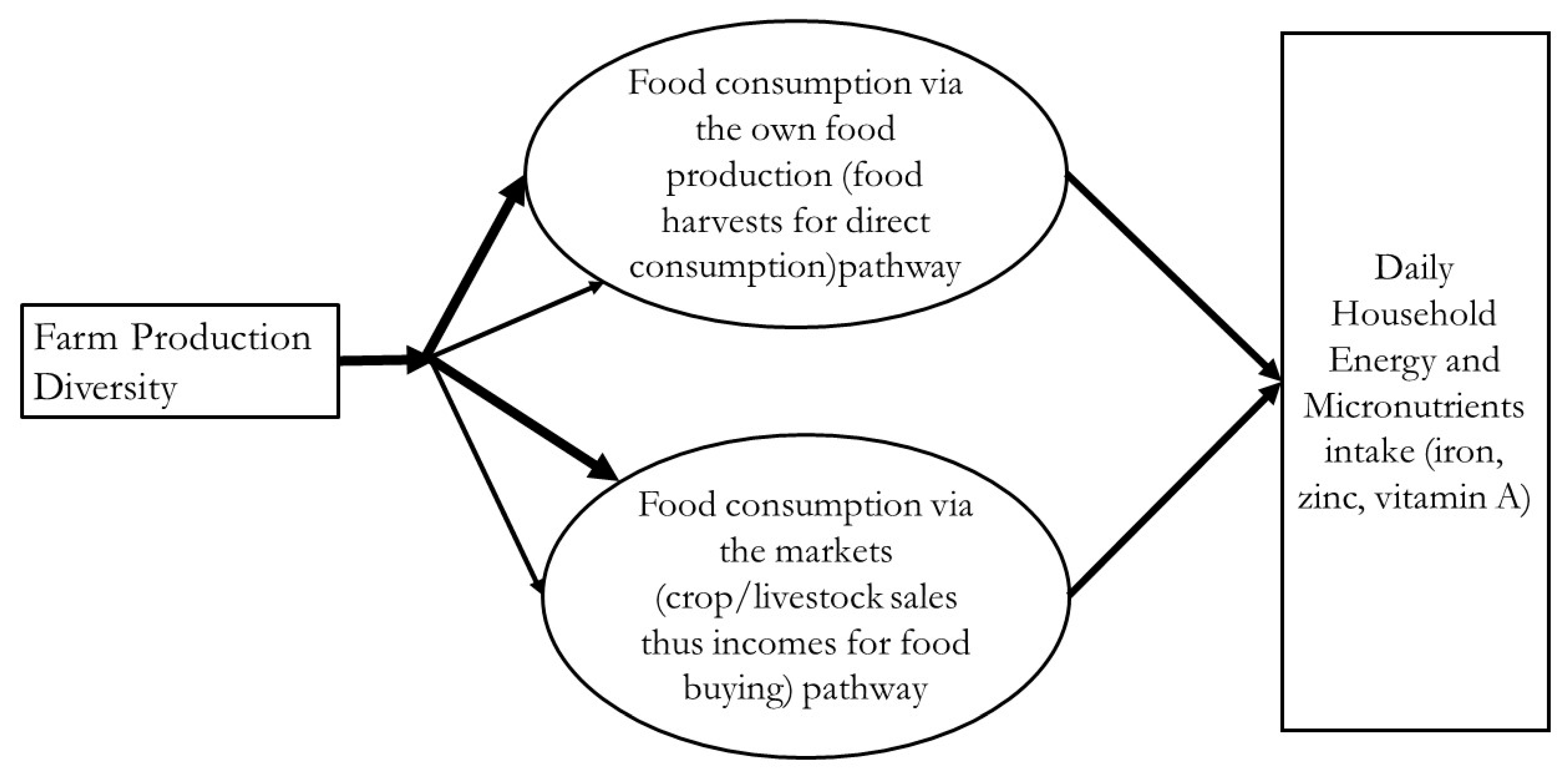 Sustainability 13 04041 g001