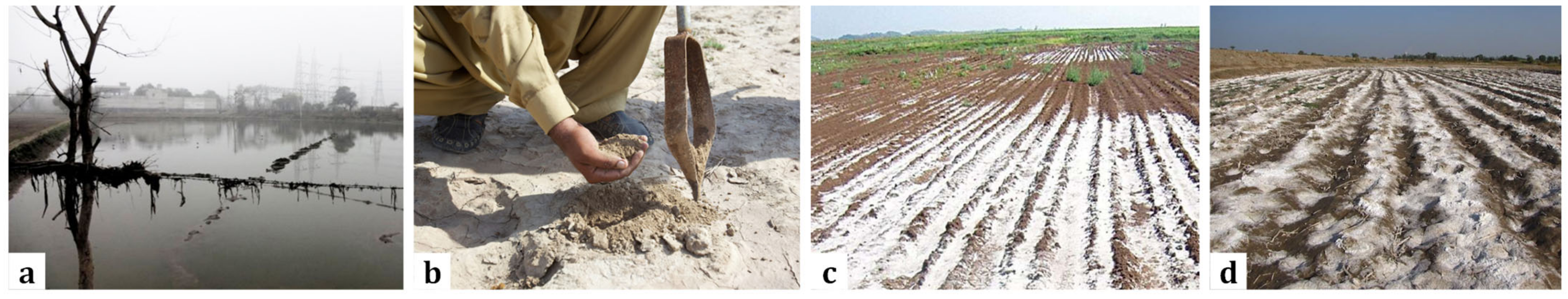 Sustainability 13 04080 g001