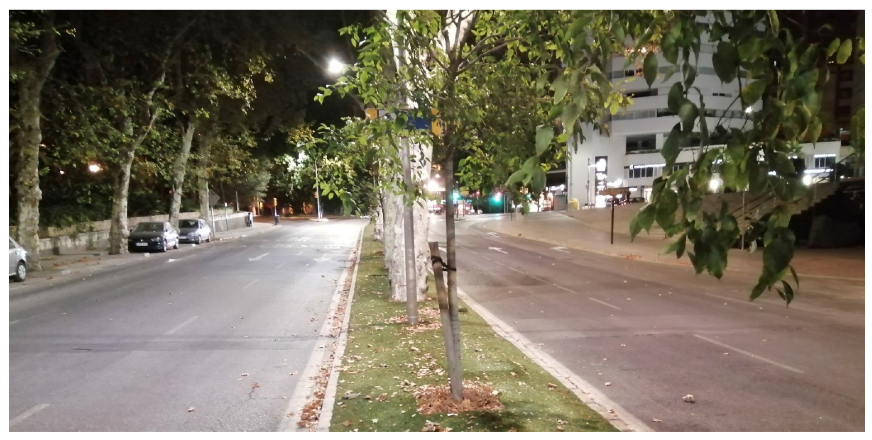 Sustainability 13 04089 g010