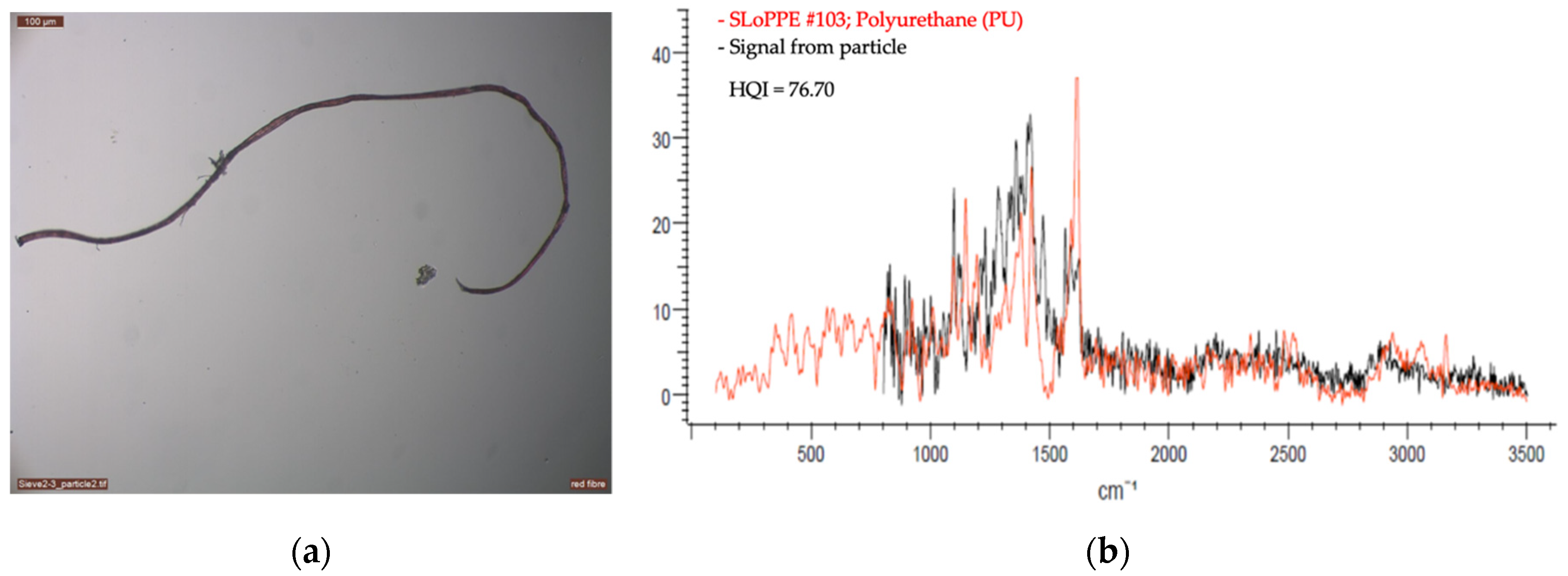 Sustainability 13 04183 g006