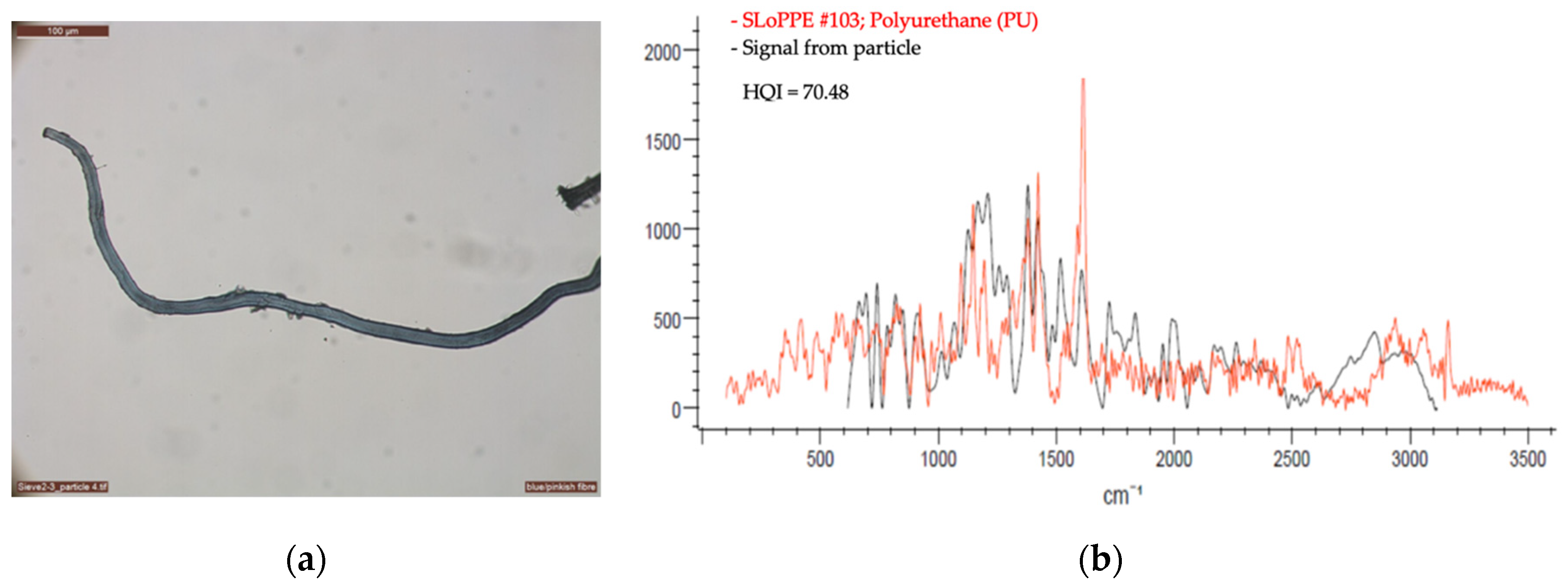 Sustainability 13 04183 g007