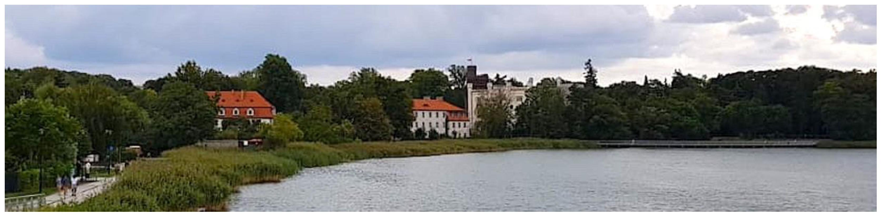 Sustainability 13 04185 g009