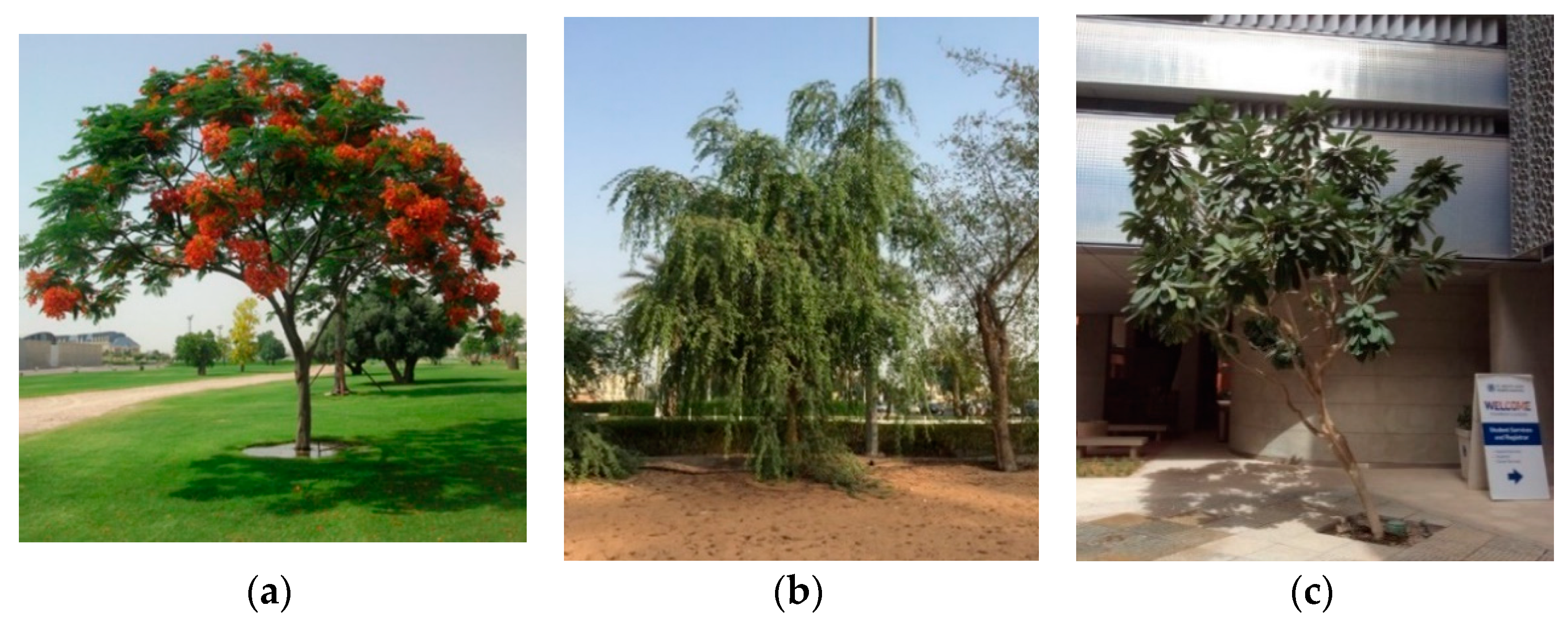 Sustainability 13 04260 g004