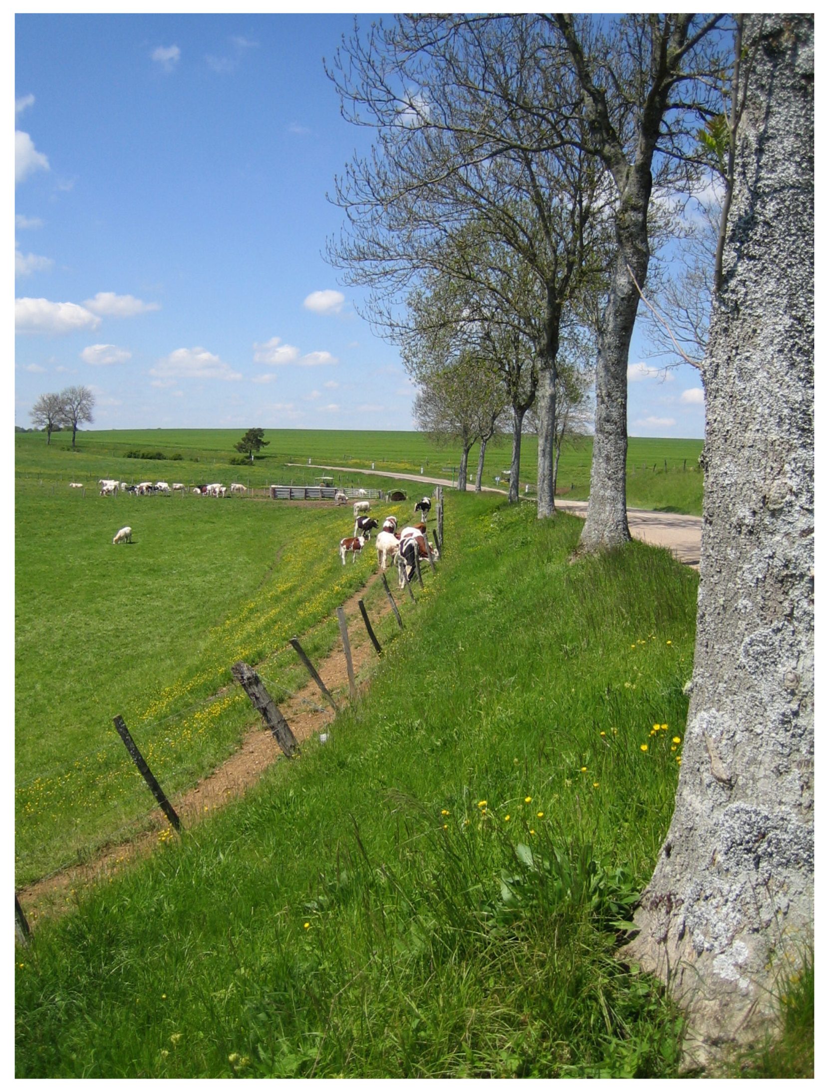 Sustainability 13 04274 g002