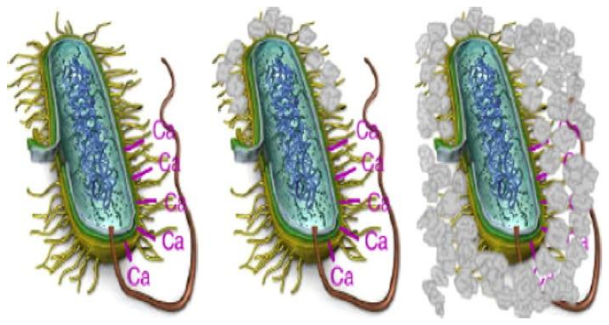 Sustainability 13 04287 g004 Sustainability 13 04287 g004