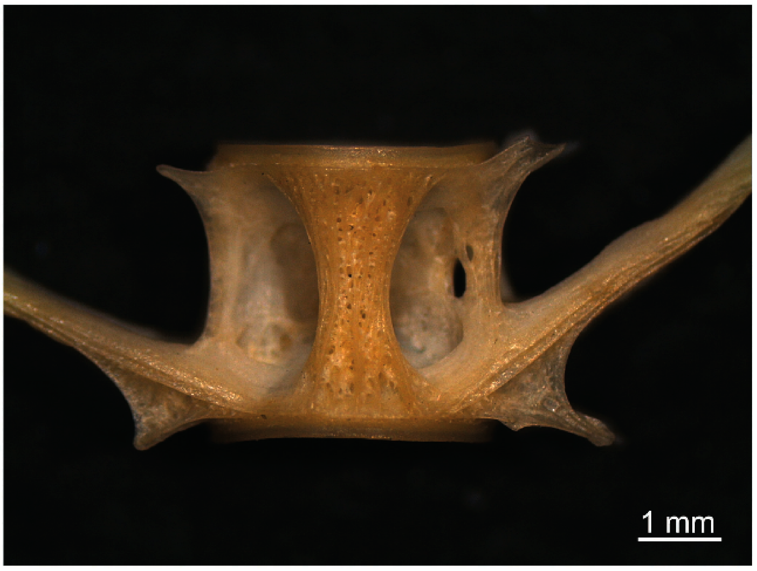 Sustainability 13 04322 g003