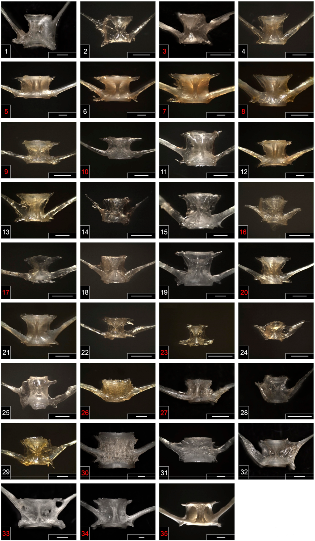 Sustainability 13 04322 g004