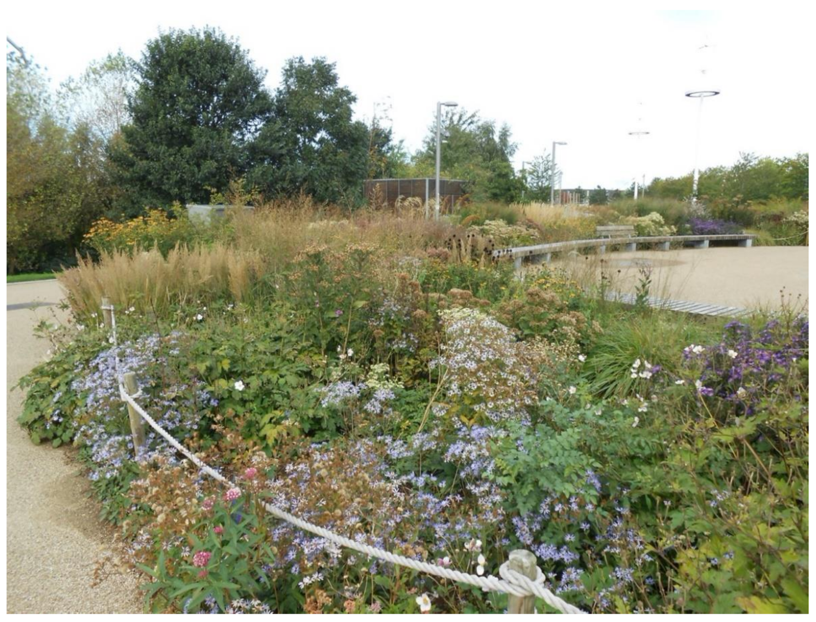 Sustainability 13 04323 g003 Sustainability 13 04323 g003