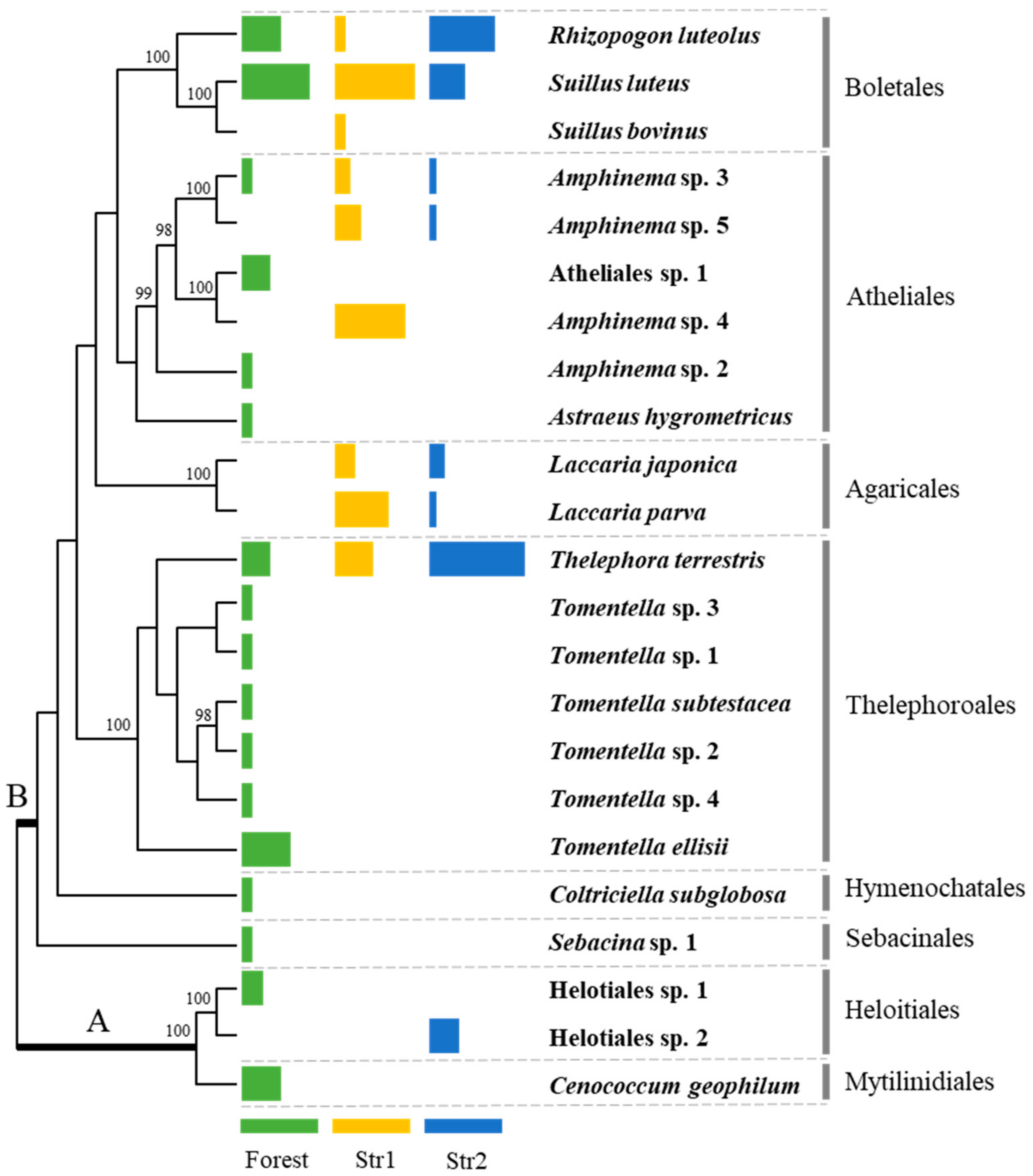Sustainability 13 04367 g001 Sustainability 13 04367 g001