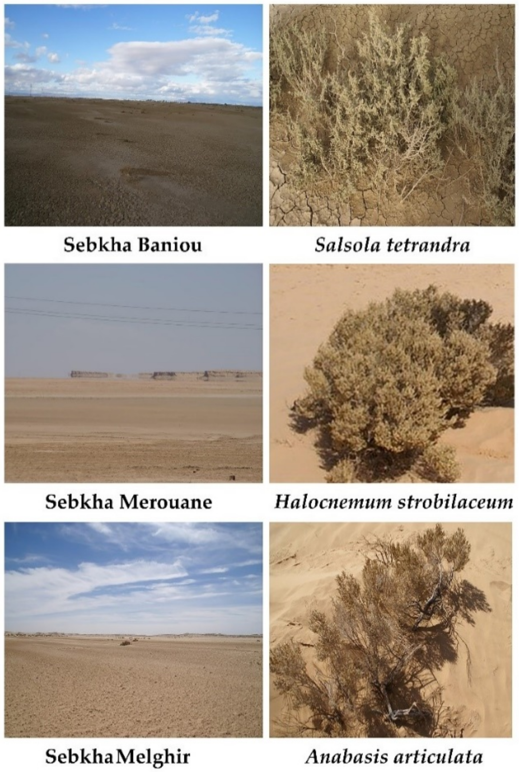 Sustainability 13 04422 g002