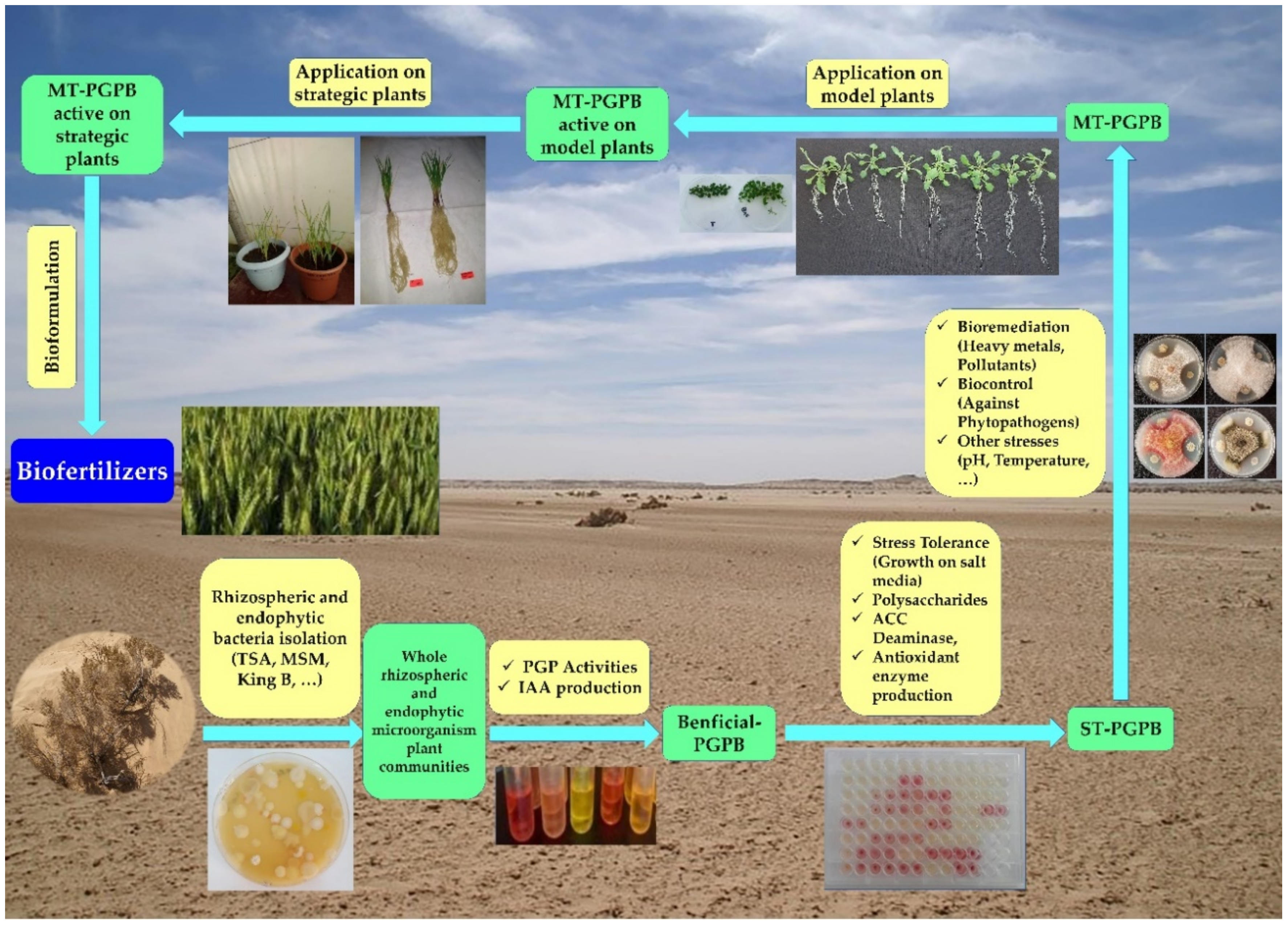 Sustainability 13 04422 g003