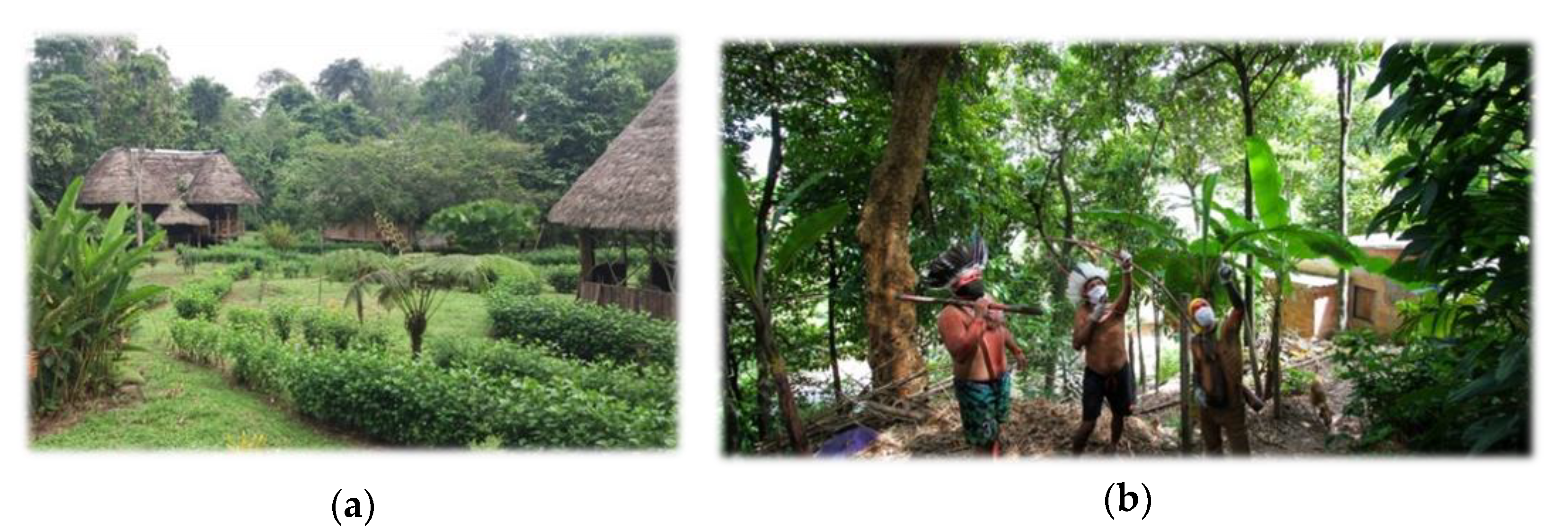 Sustainability 13 04432 g002