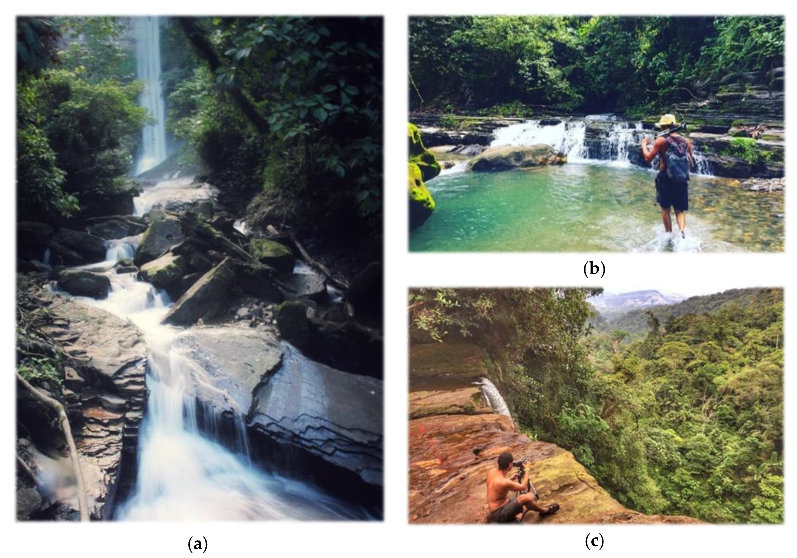 Sustainability 13 04432 g003