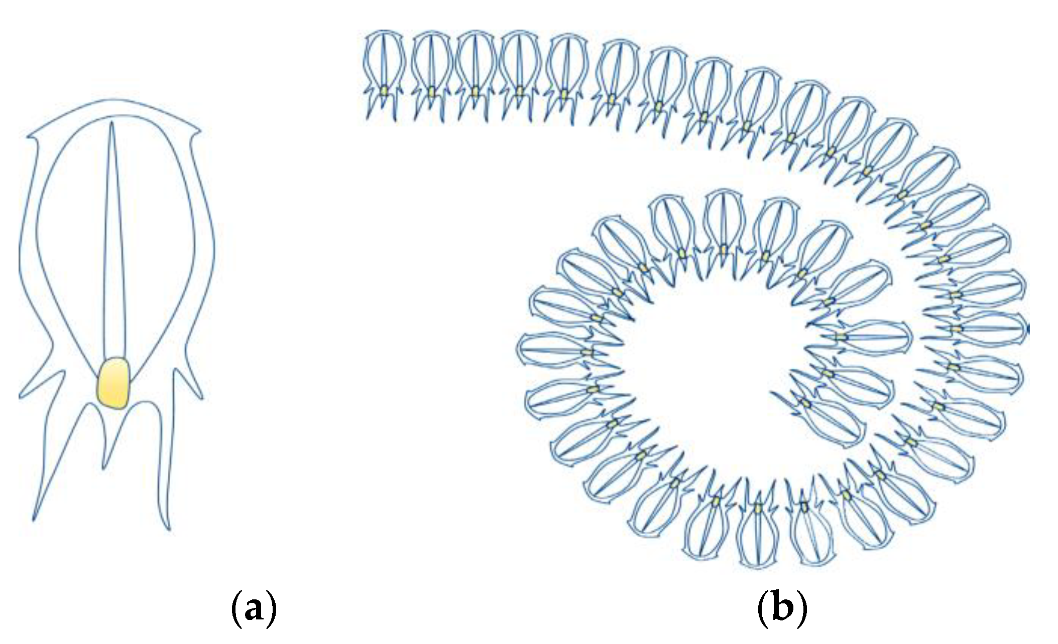 Sustainability 13 04447 g002