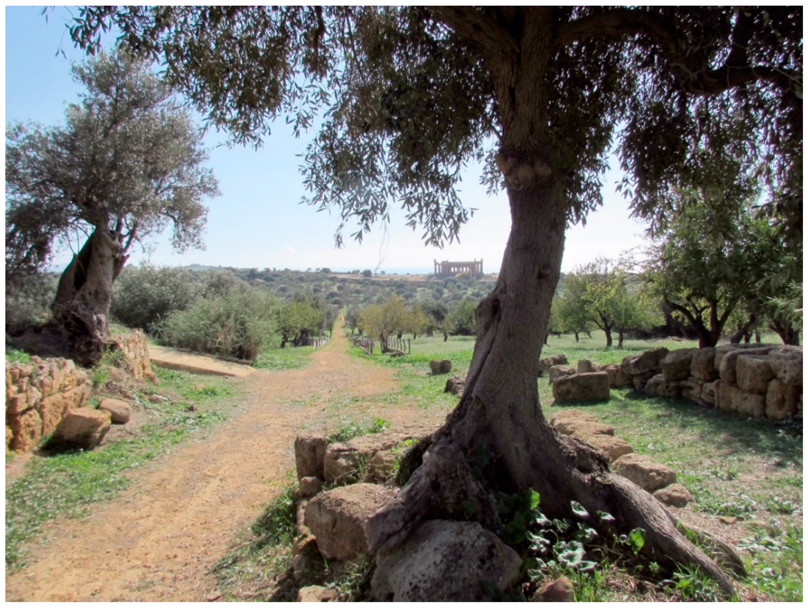 Sustainability 13 04480 g004