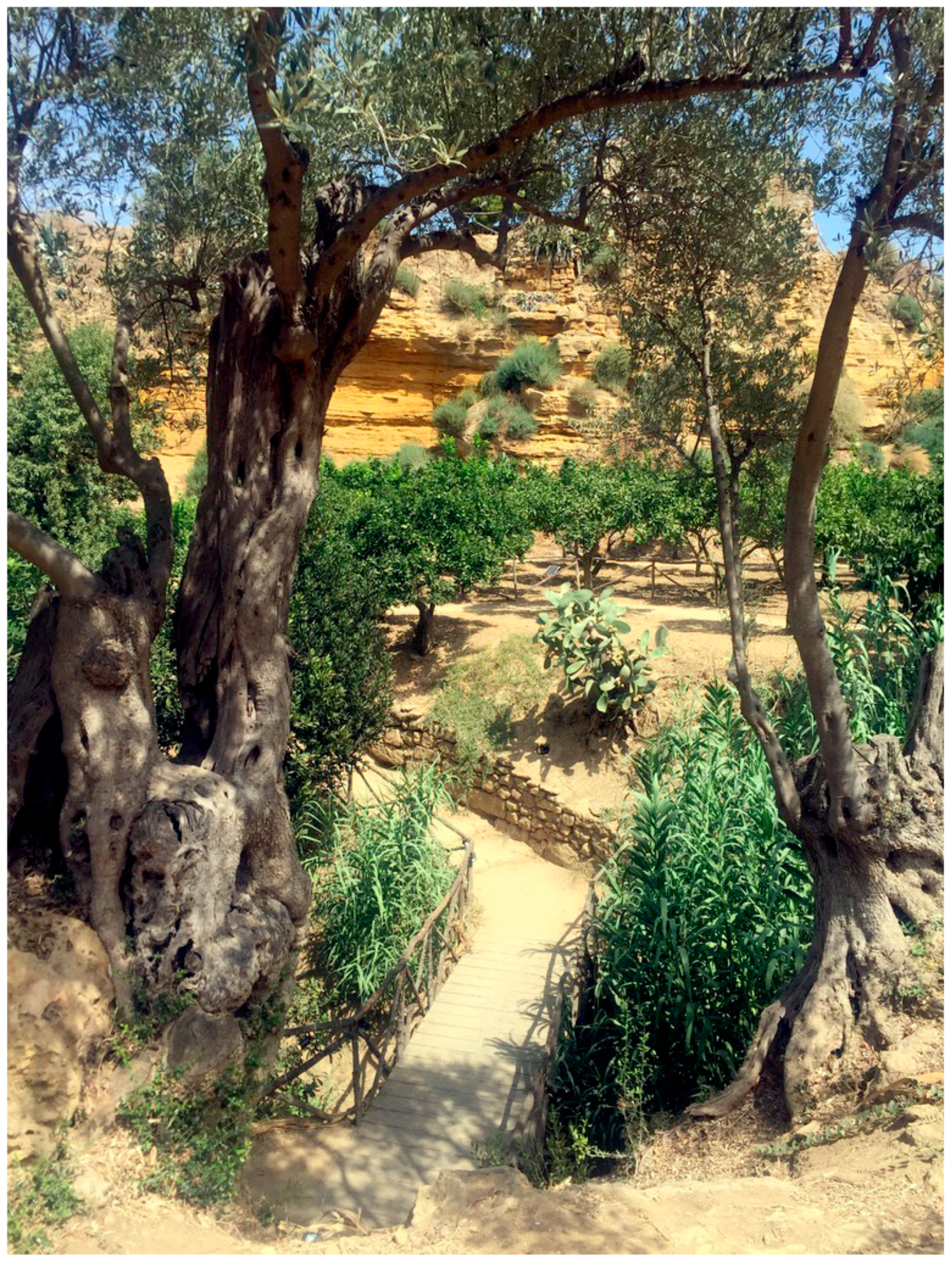 Sustainability 13 04480 g012