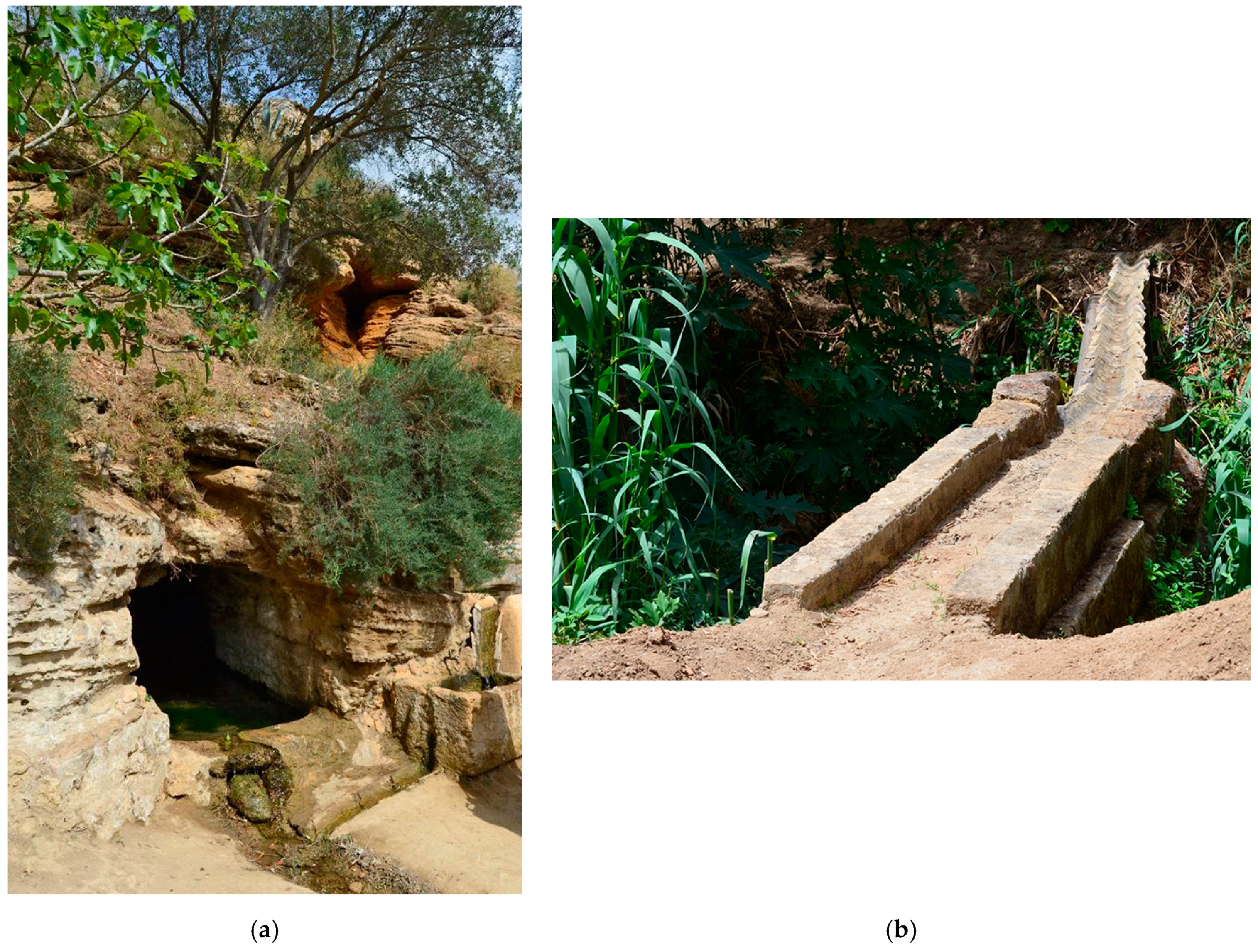 Sustainability 13 04480 g013