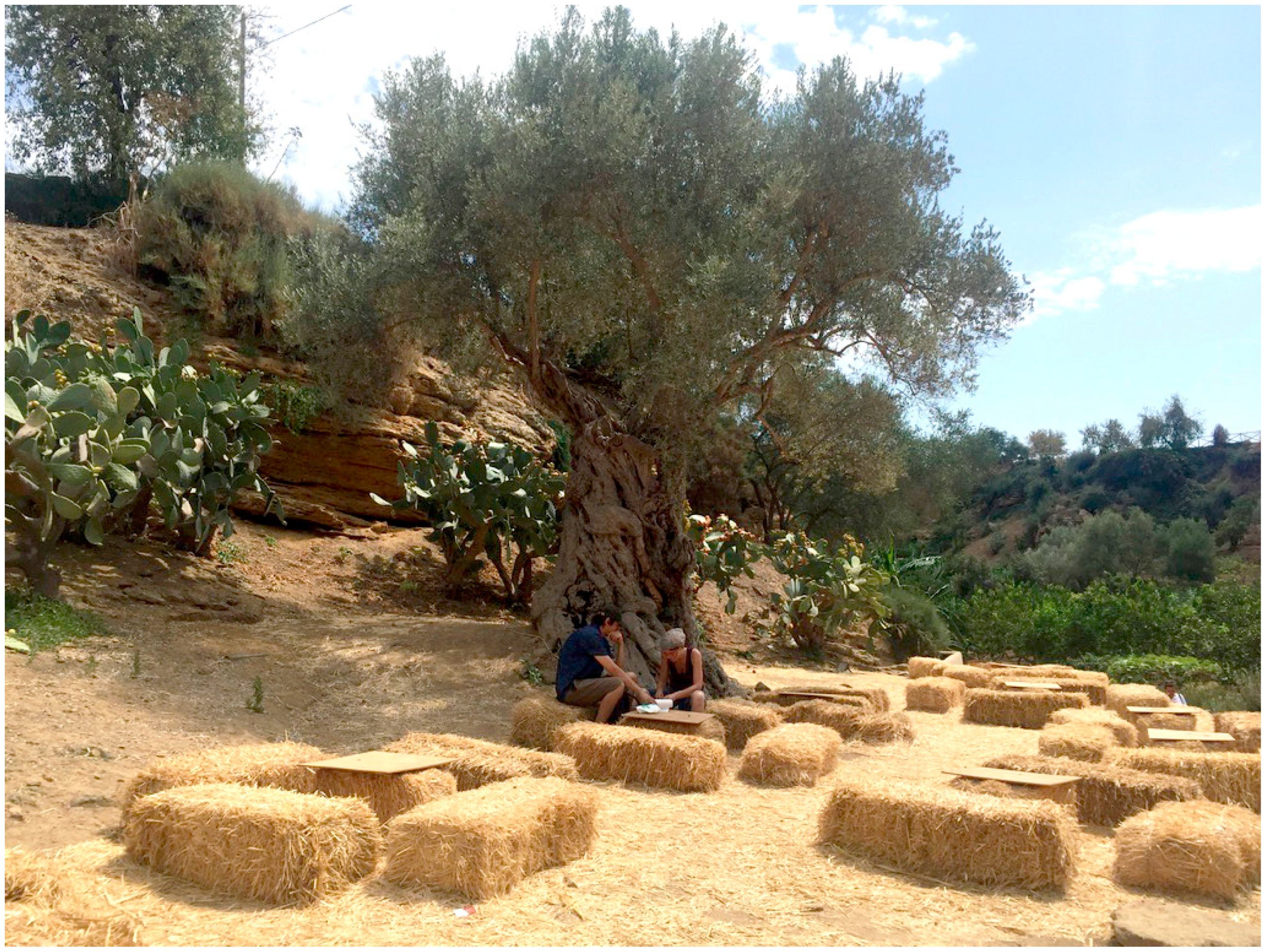 Sustainability 13 04480 g014