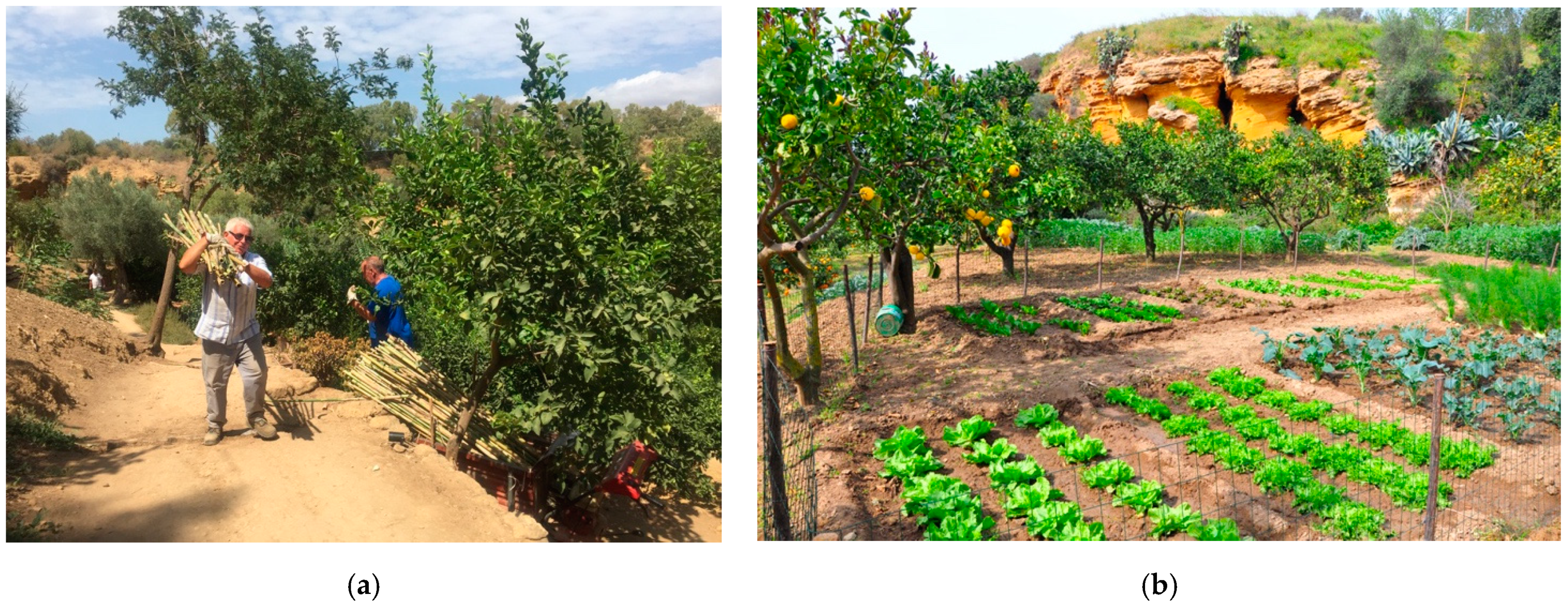 Sustainability 13 04480 g015