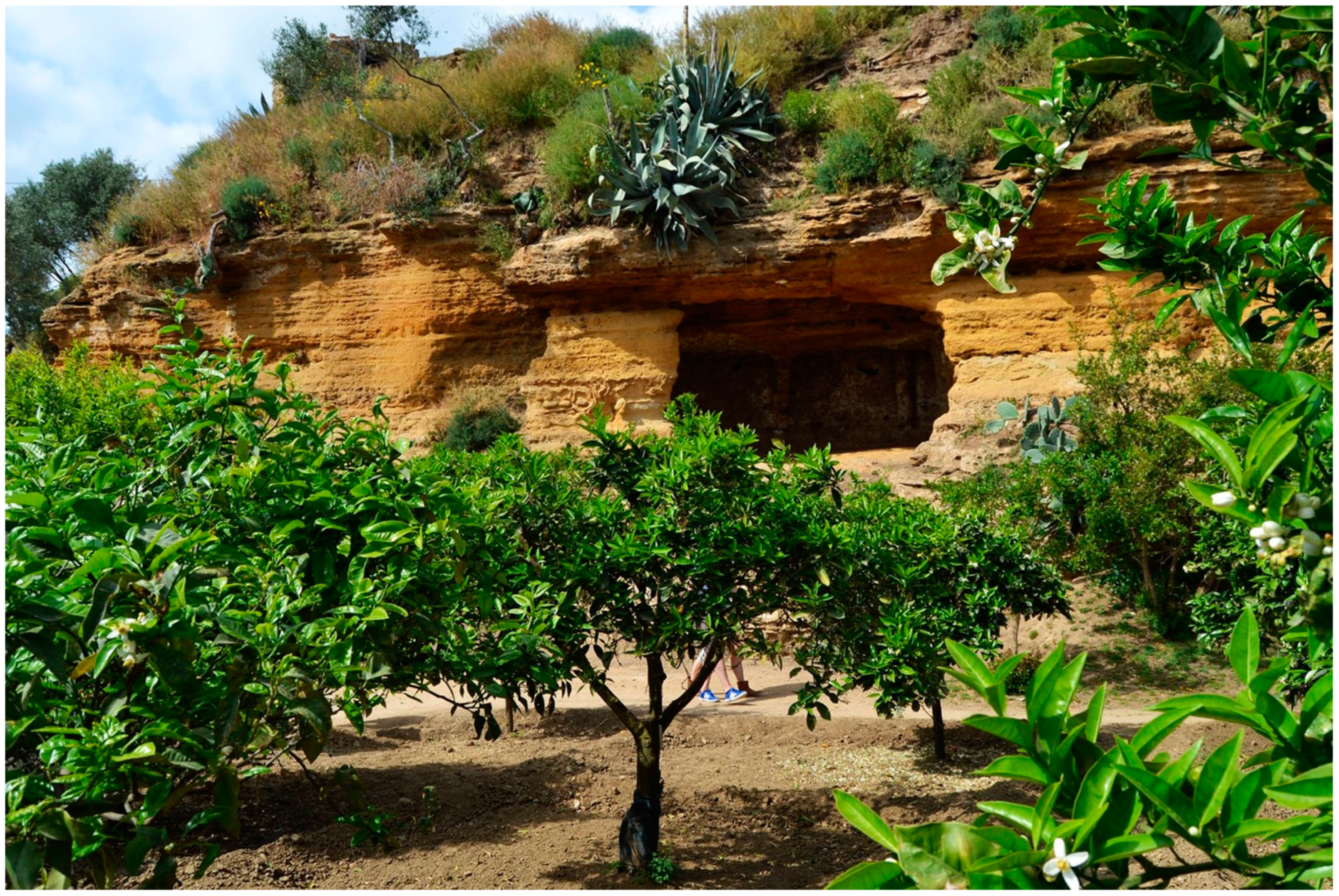 Sustainability 13 04480 g016