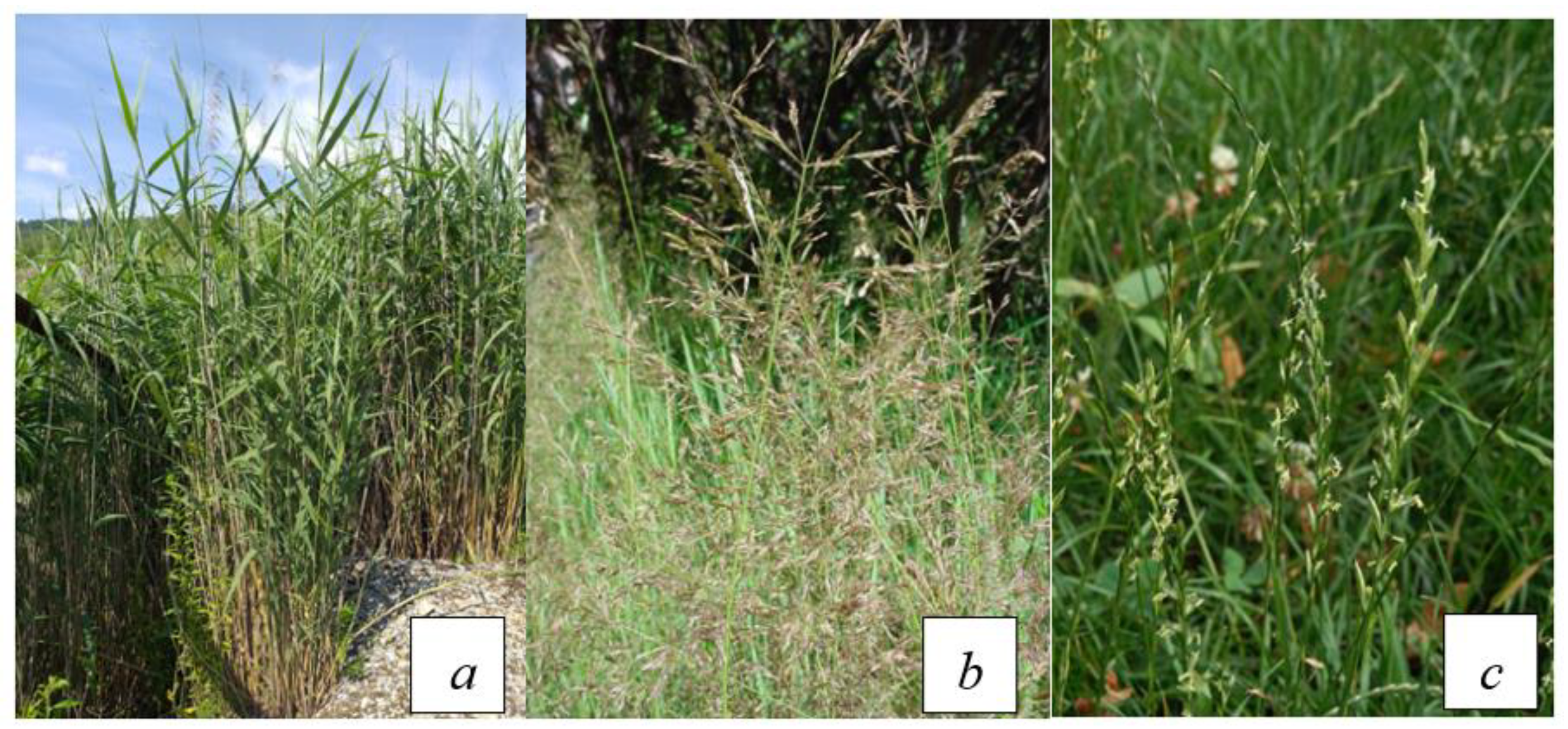 Sustainability 13 04508 g002