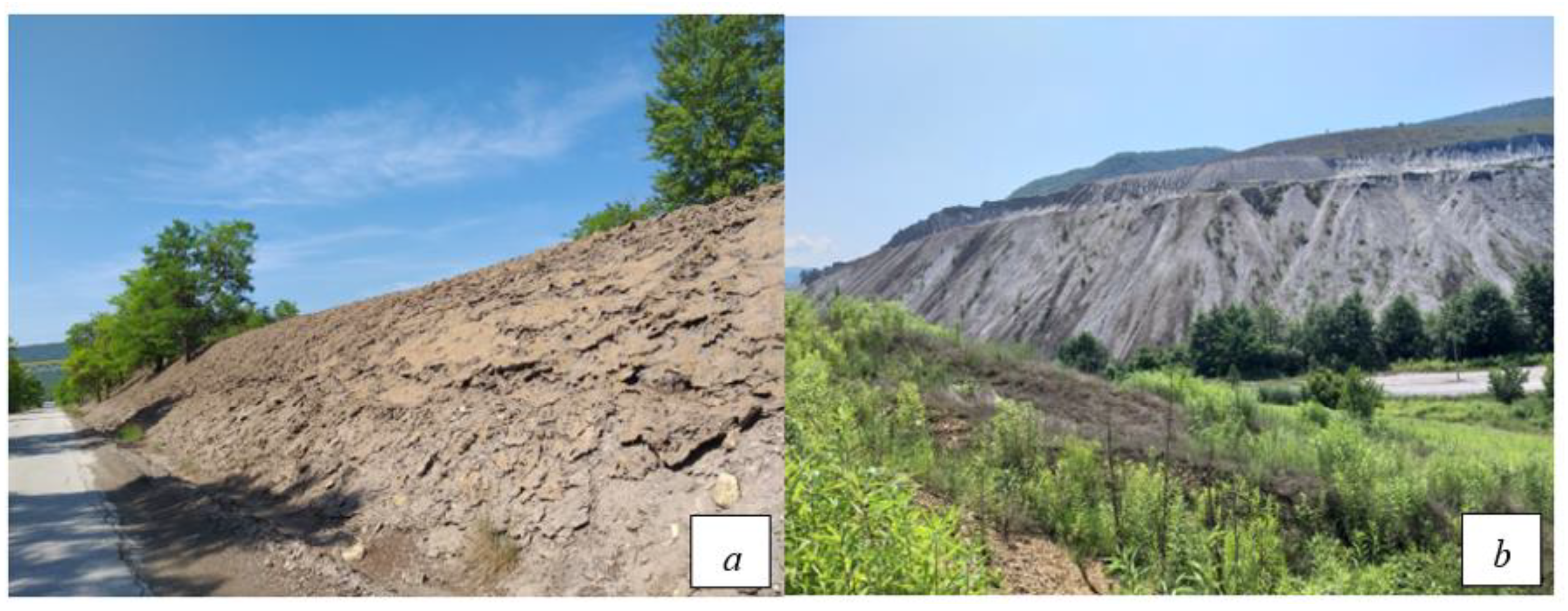 Sustainability 13 04508 g003