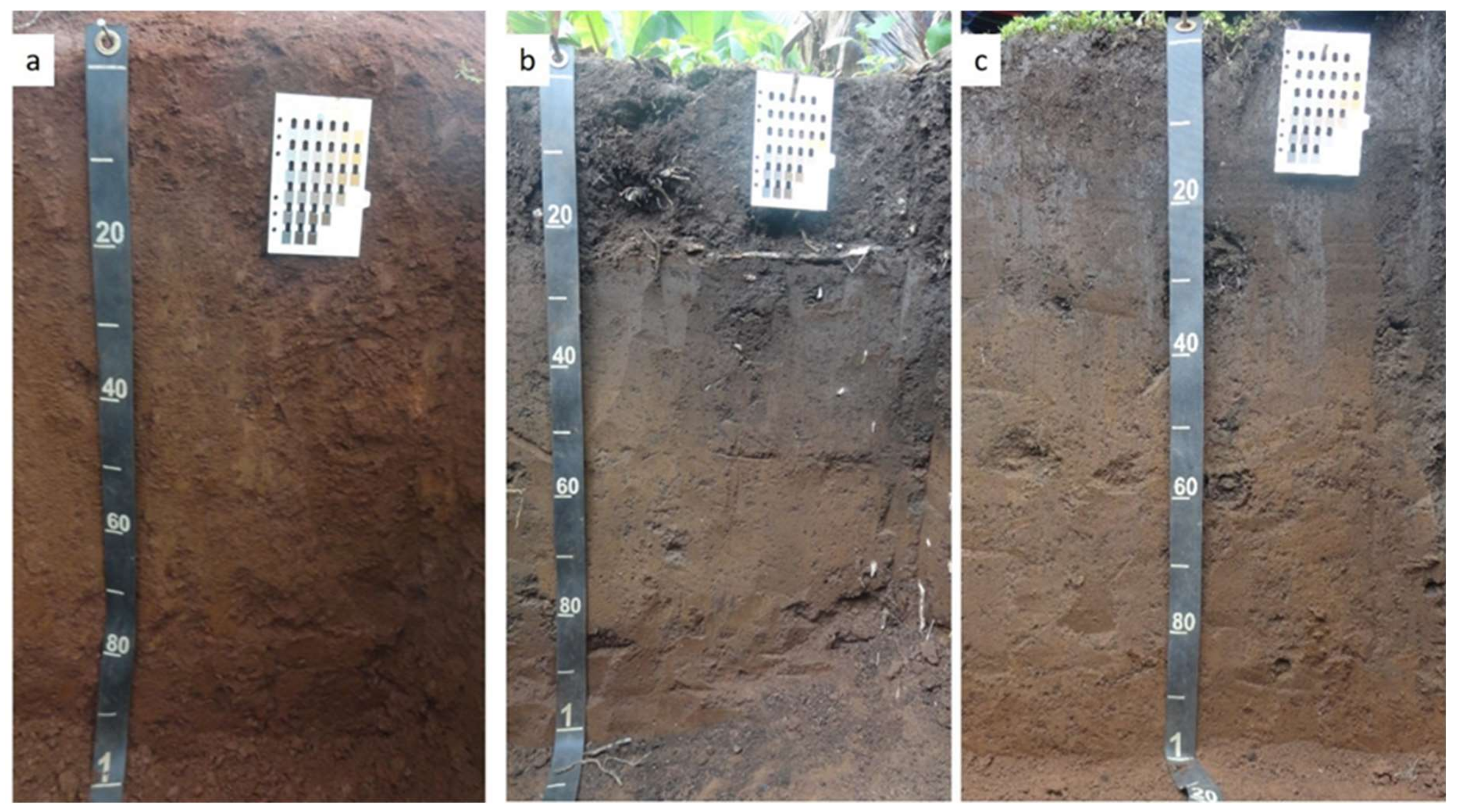 Sustainability 13 04515 g002