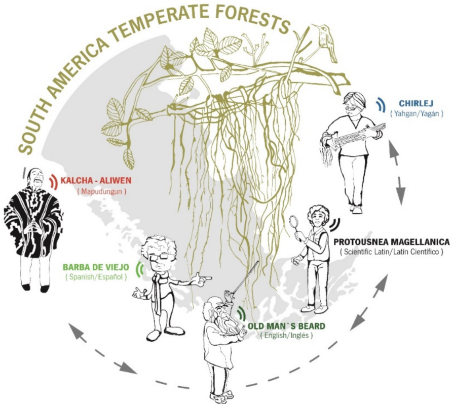 Sustainability 13 04526 g003
