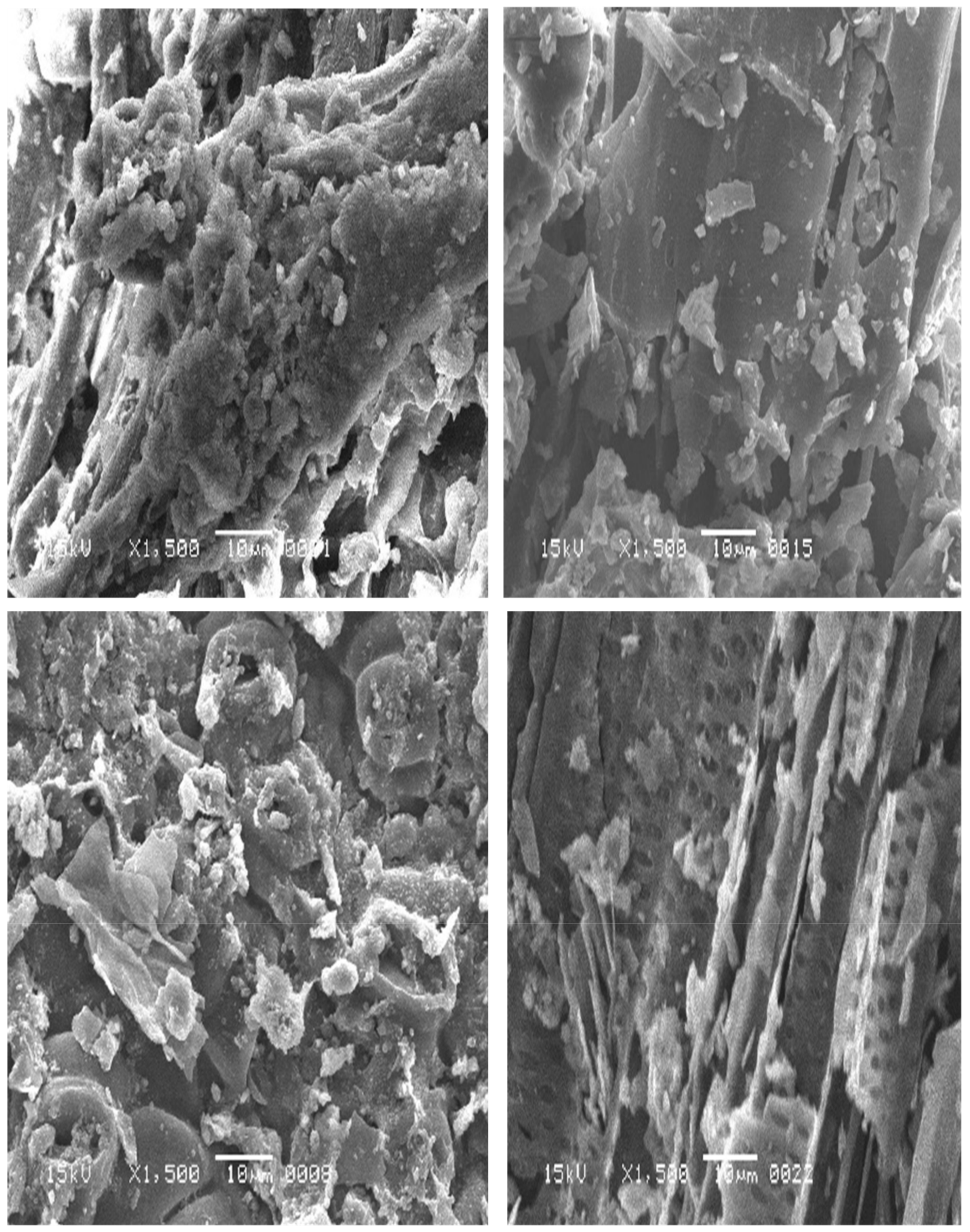 Sustainability 13 04628 g003